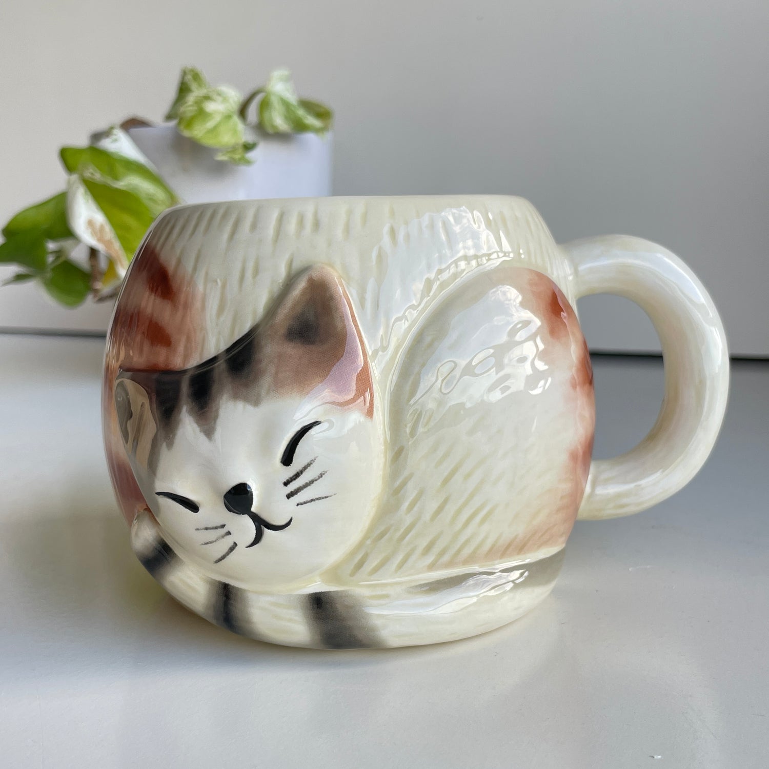 All You Need Is Love And A Cat Mug166