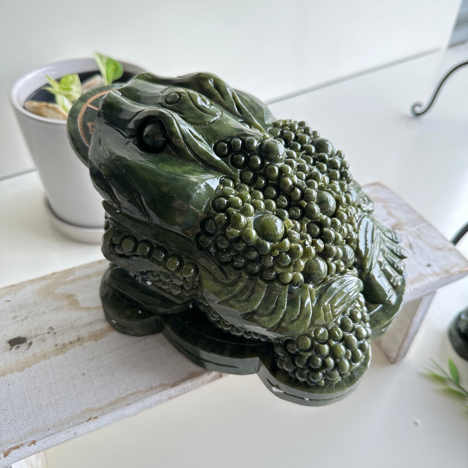 Serpentine Money Frog Toad Large 2