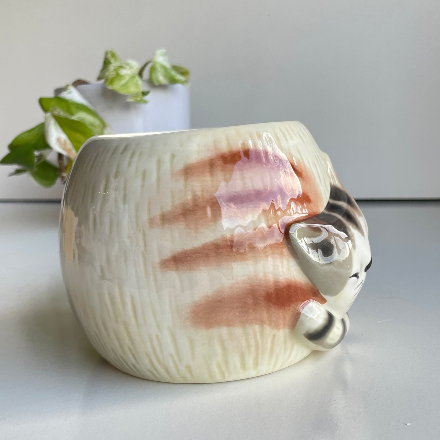 All You Need Is Love And A Cat Mug166