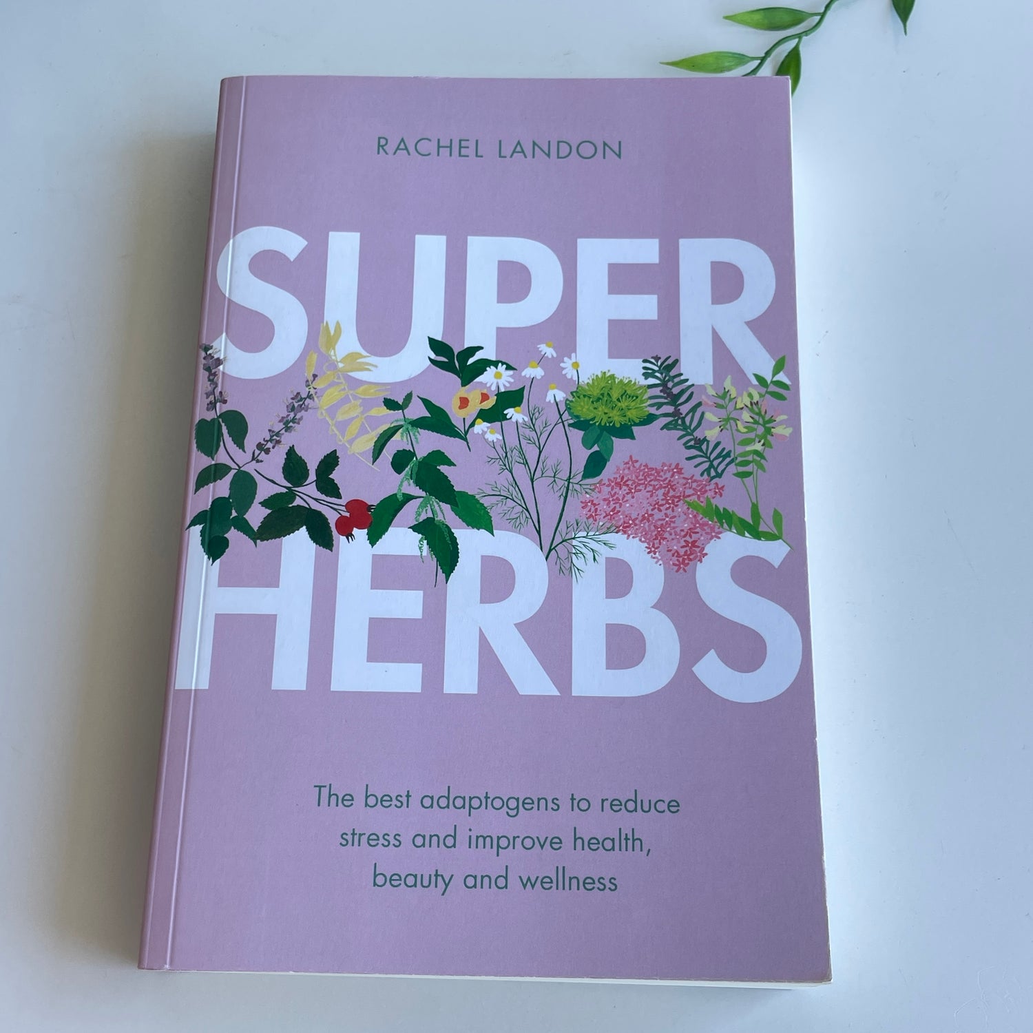 Super Herbs Rachel Landon