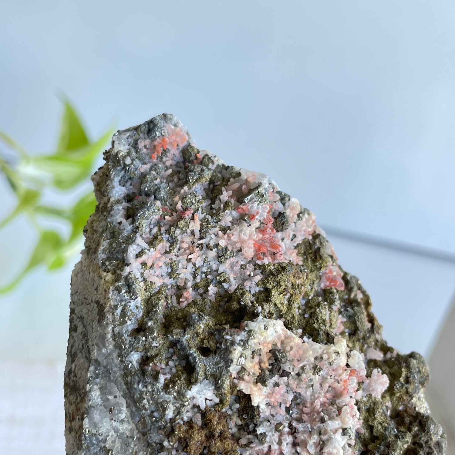 Pyrite & Quartz Cluster 550g
