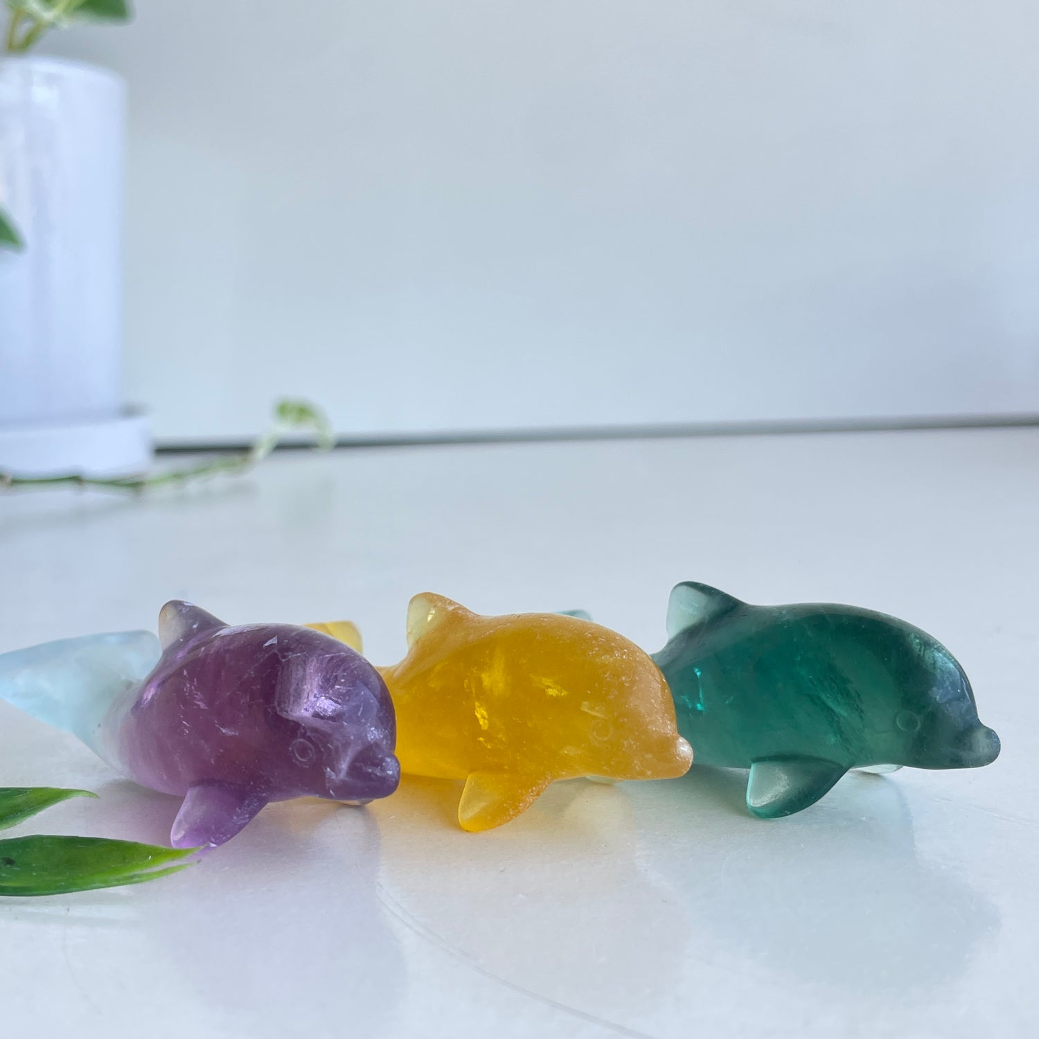 Fluorite Dolphin