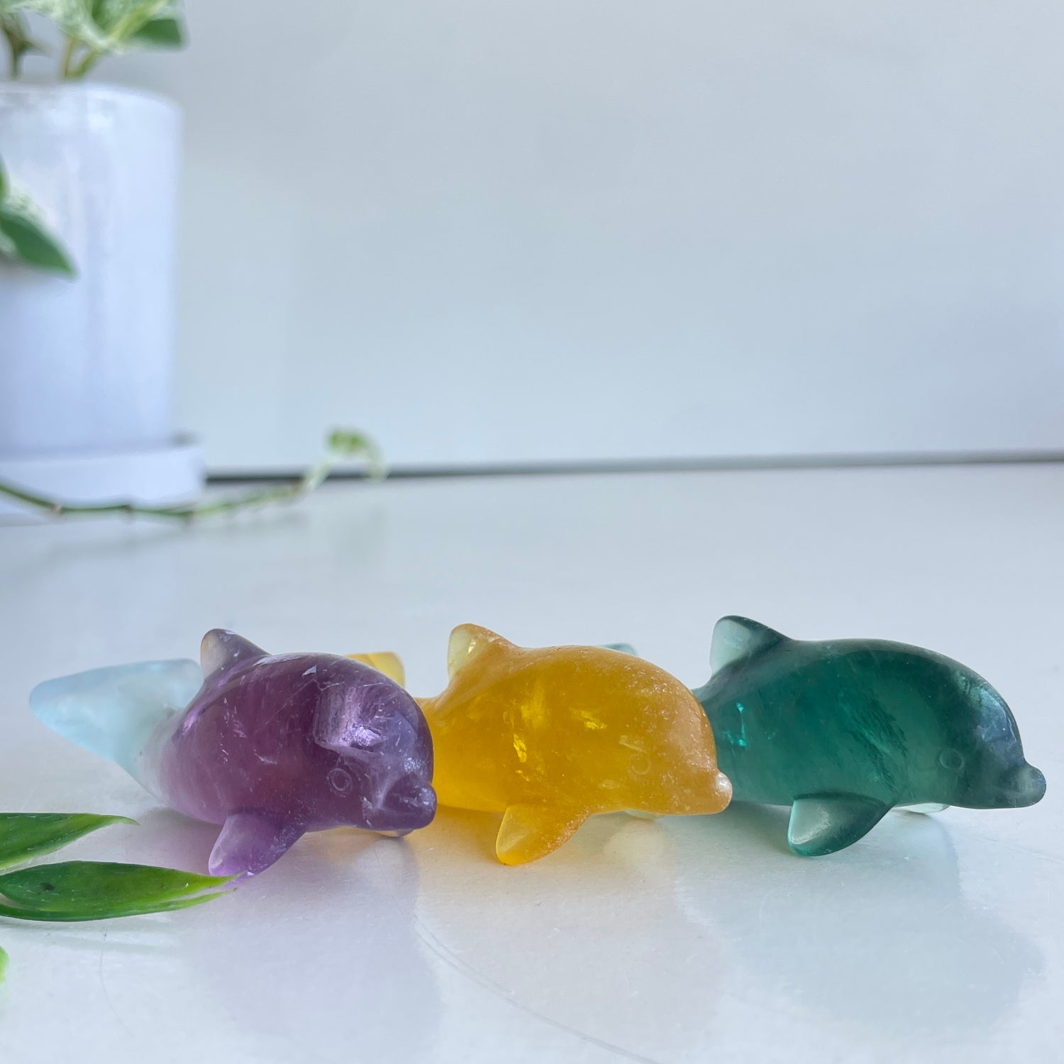 Fluorite Dolphin