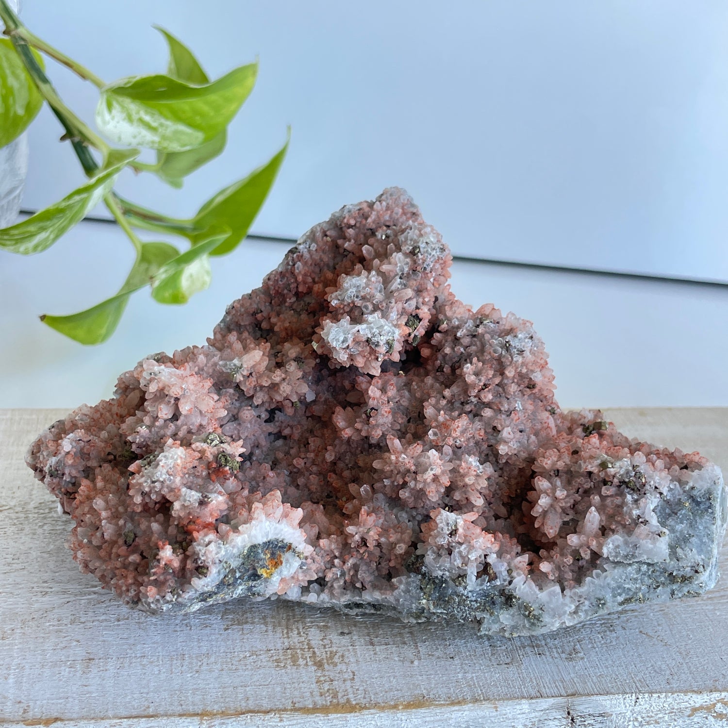 Pyrite & Quartz Cluster 632g