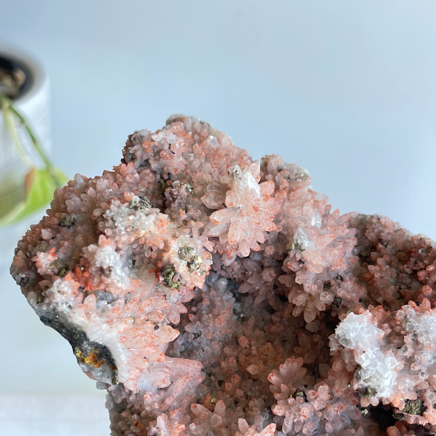 Pyrite & Quartz Cluster 632g