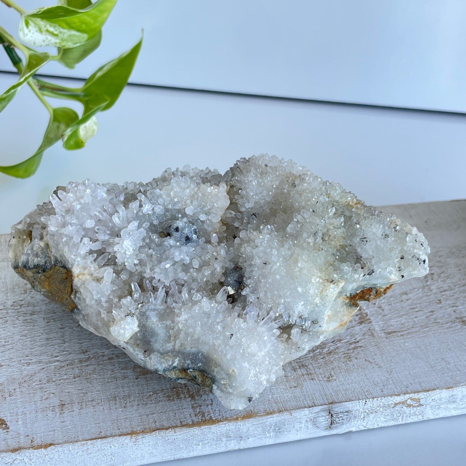 Pyrite & Quartz Cluster 846g