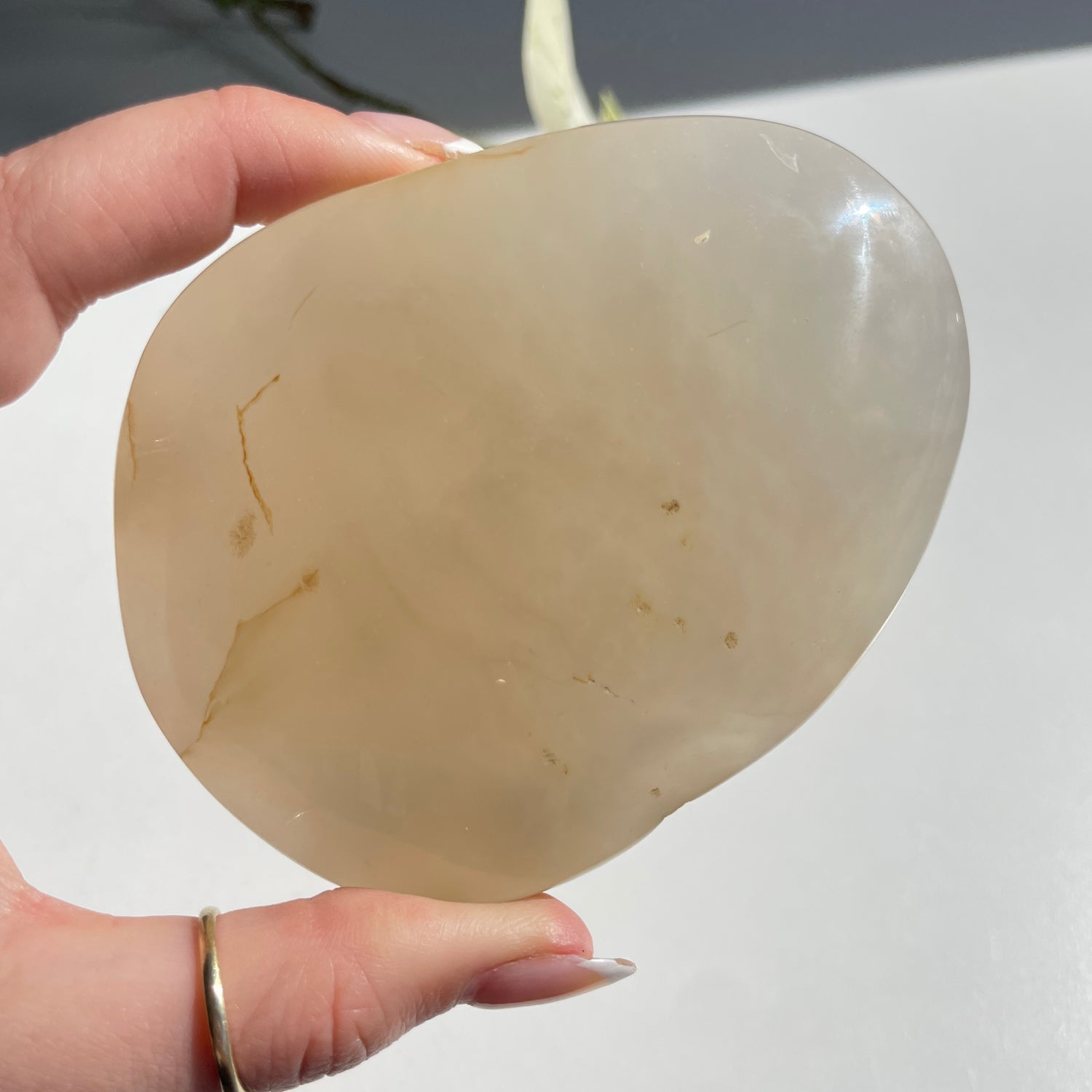 Agate Enhydro Pce 252g