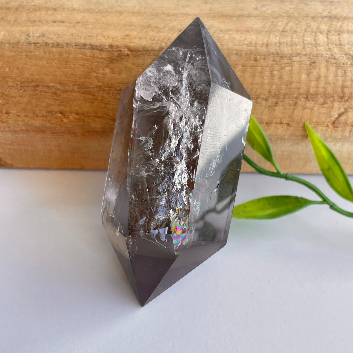 Smoky Quartz Double Terminator 7.3cm