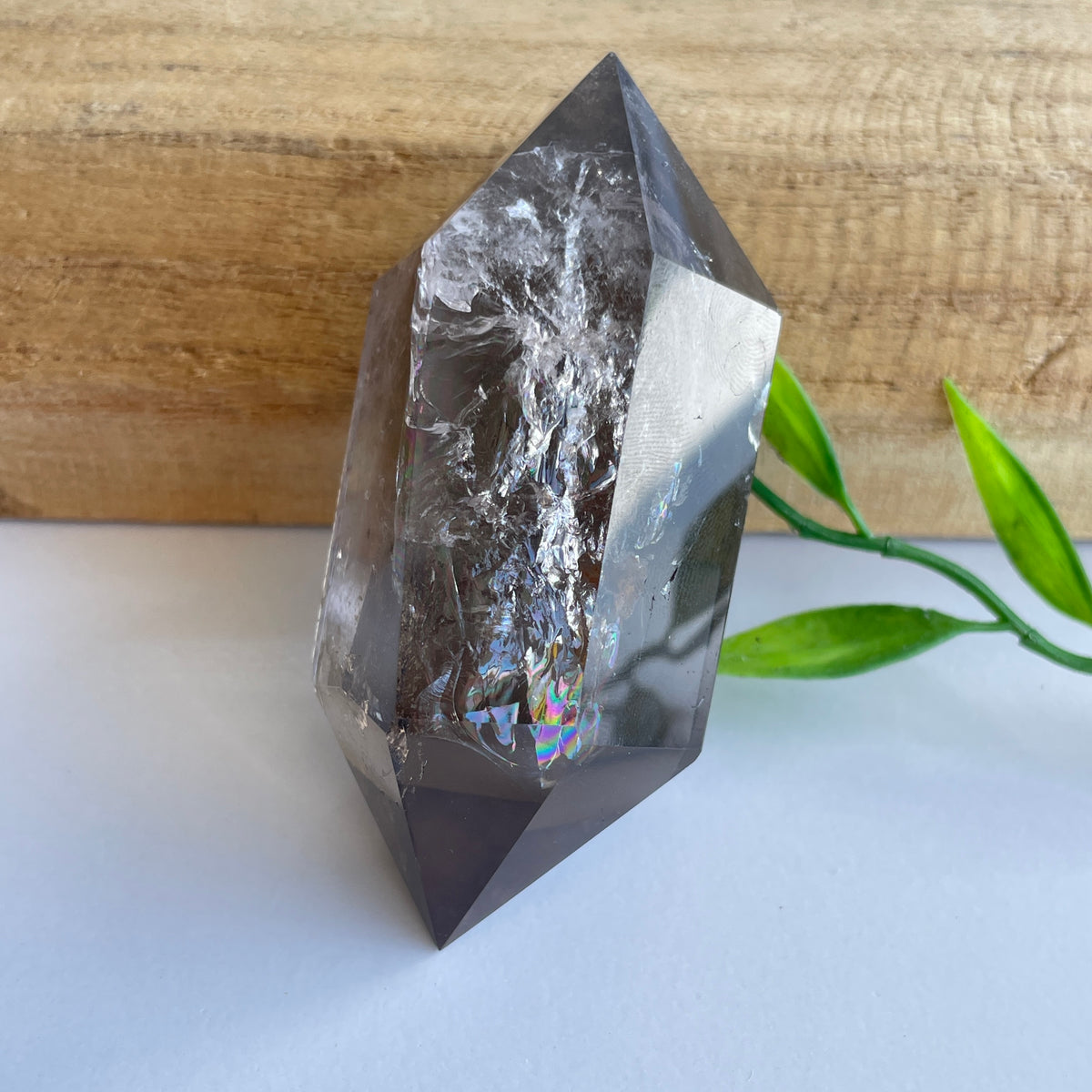 Smoky Quartz Double Terminator 7.3cm