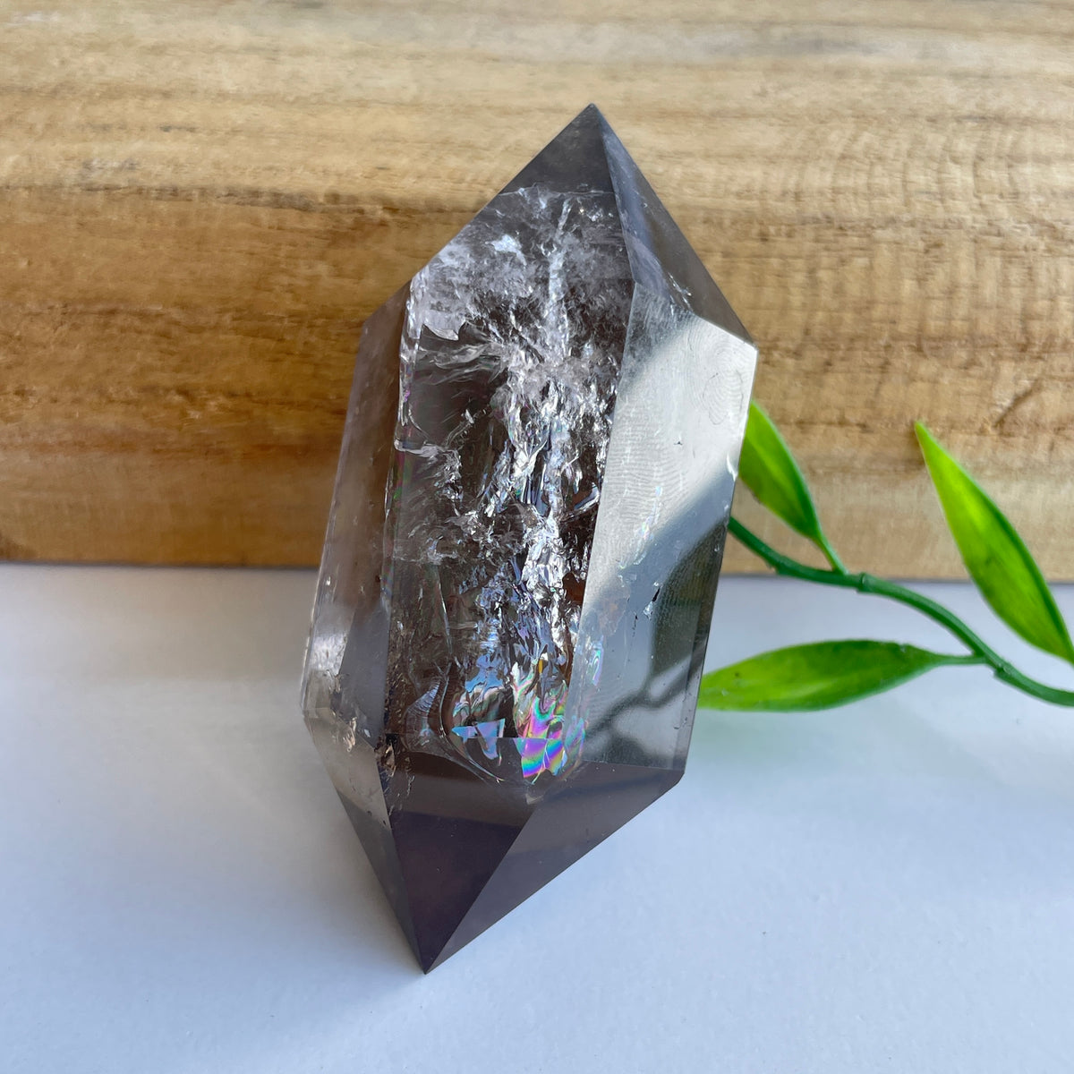 Smoky Quartz Double Terminator 7.3cm