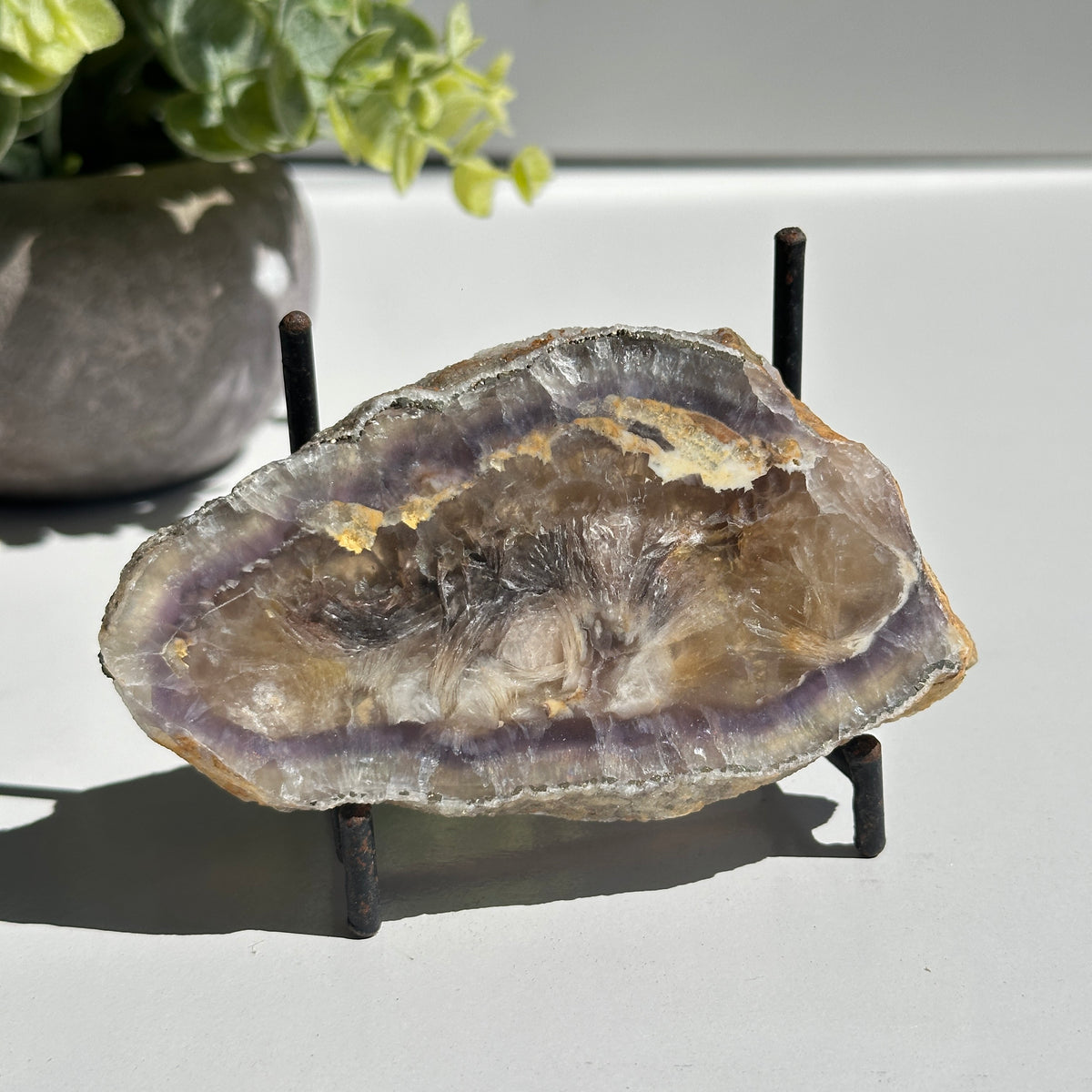 Fluorite With Pyrite Slice 178g