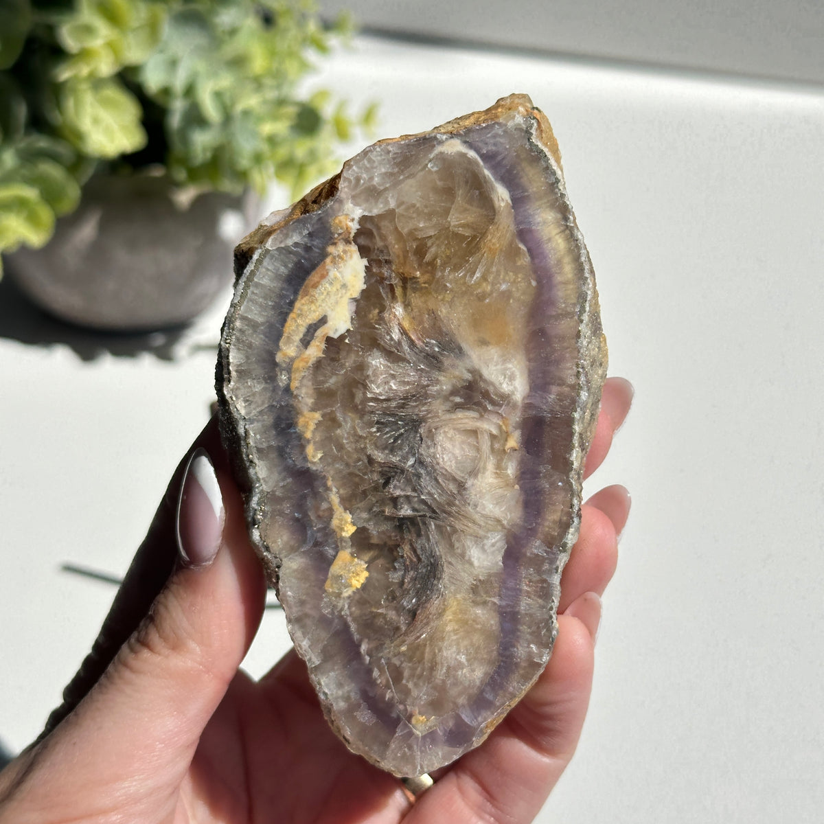 Fluorite With Pyrite Slice 178g
