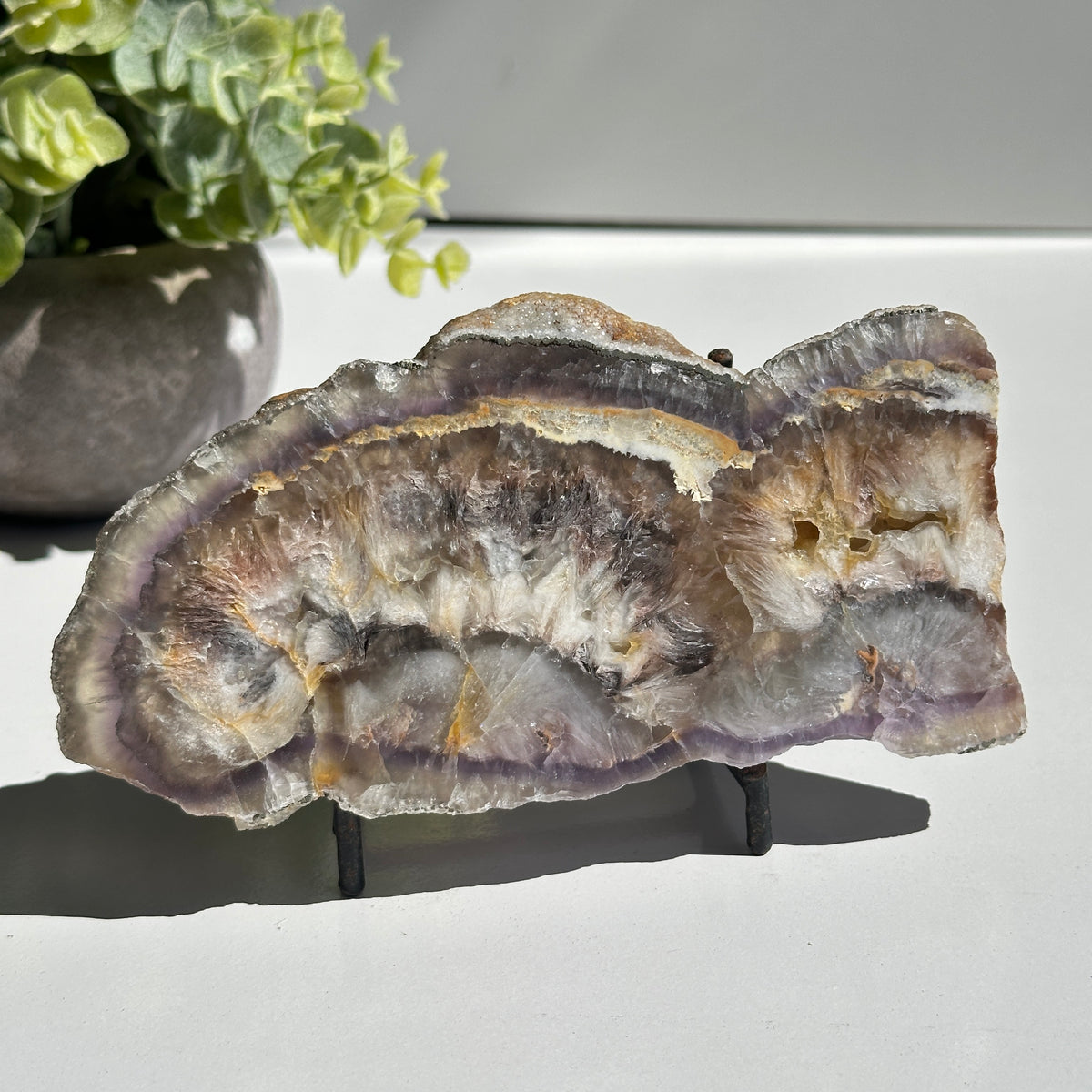 Fluorite With Pyrite Slice 336g