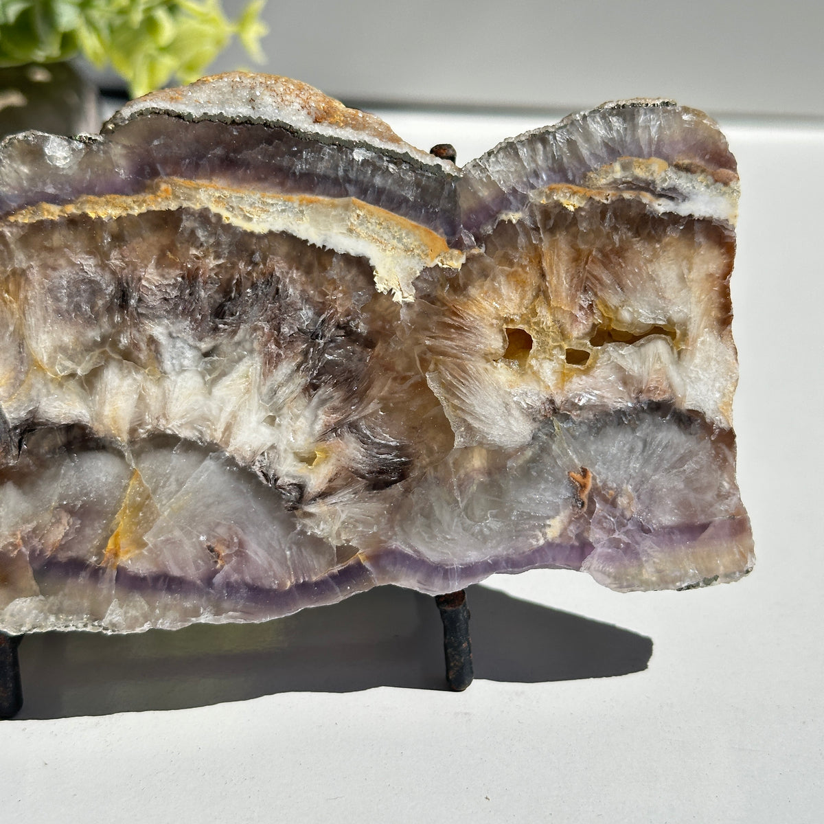 Fluorite With Pyrite Slice 336g