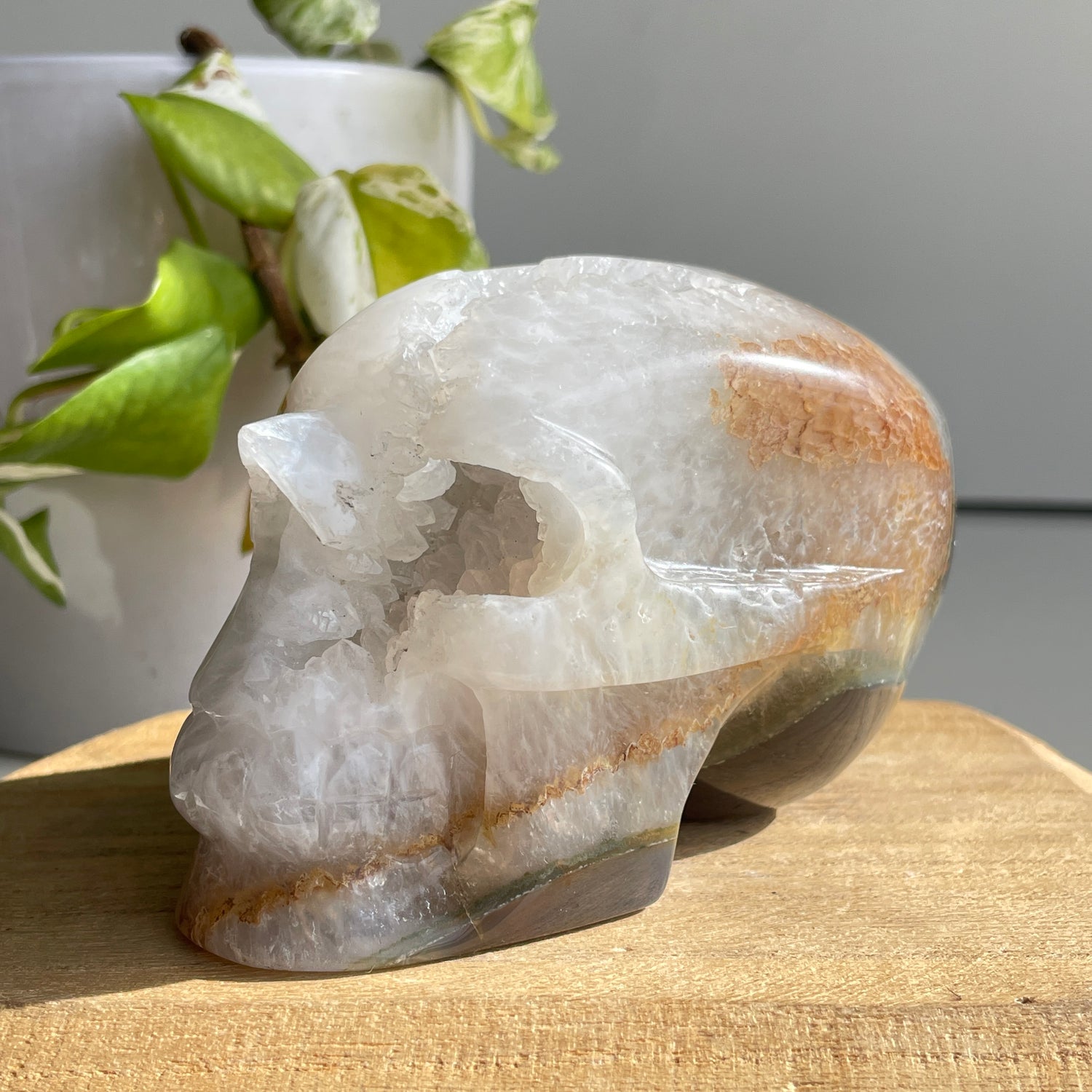 Agate Druzy Skull 10.5cm