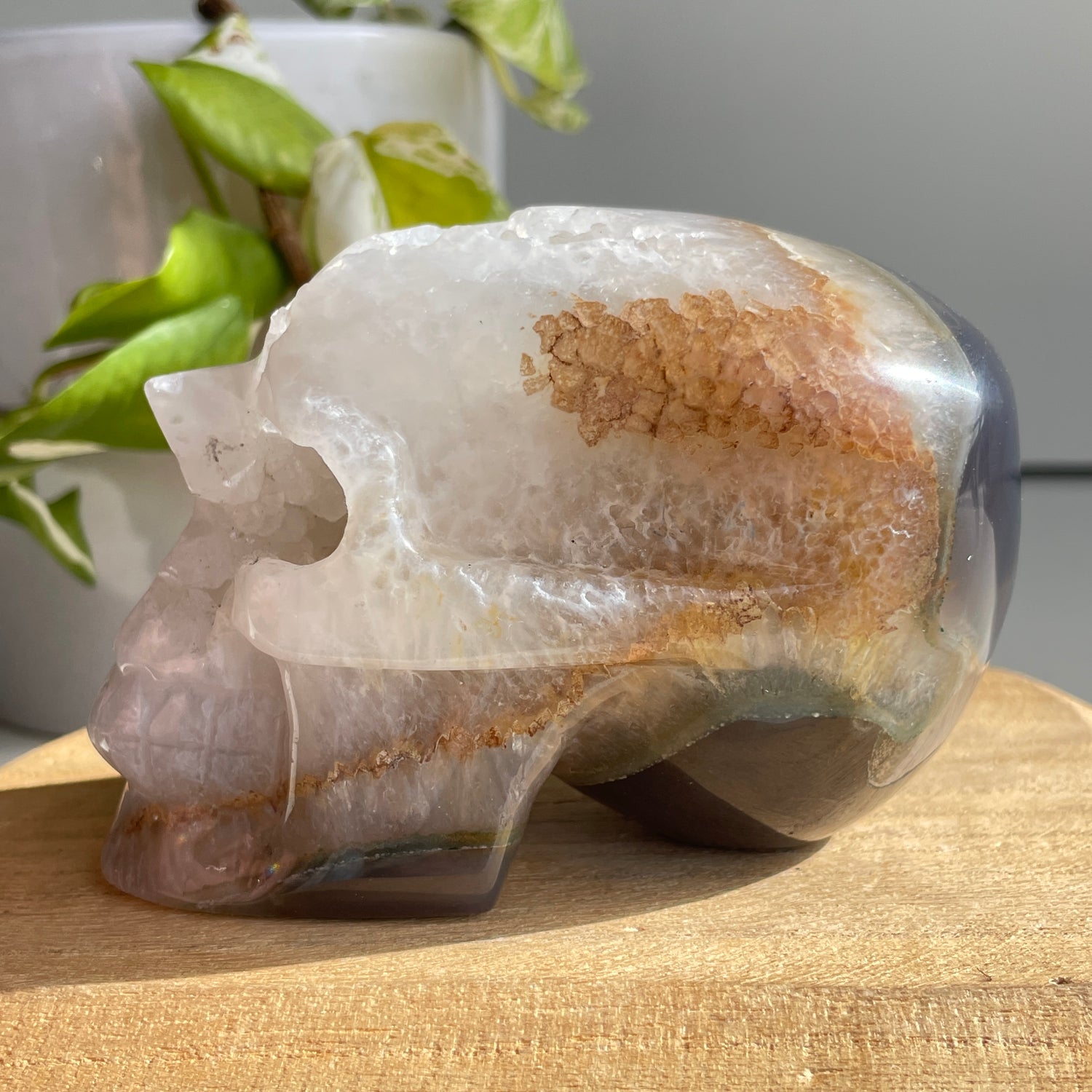 Agate Druzy Skull 10.5cm