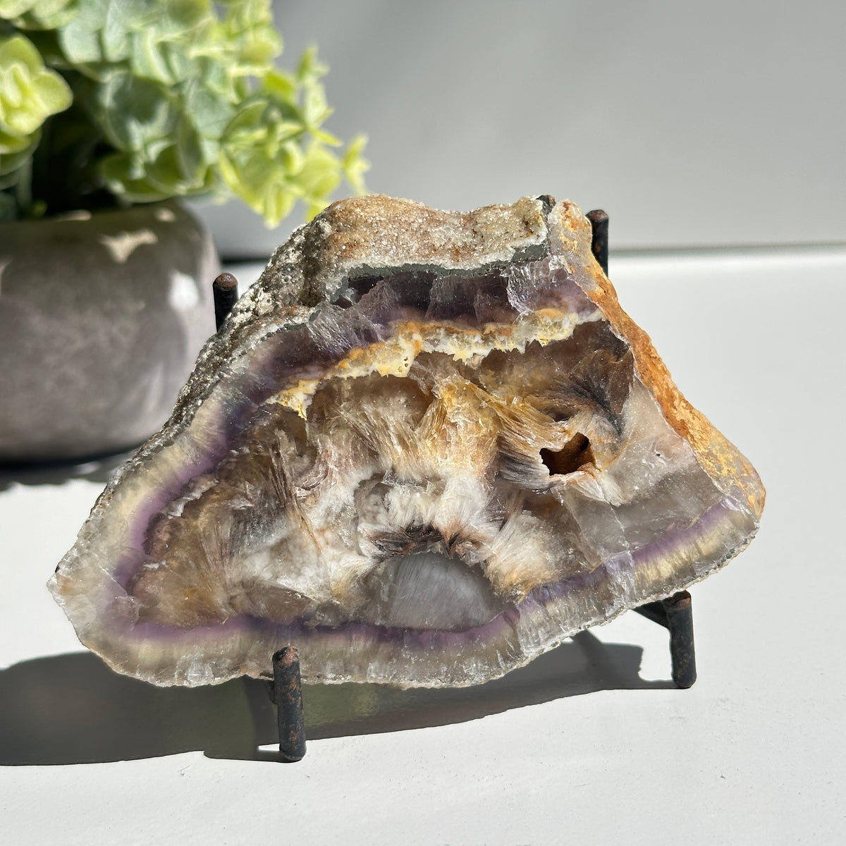 Fluorite With Pyrite Slice 224g