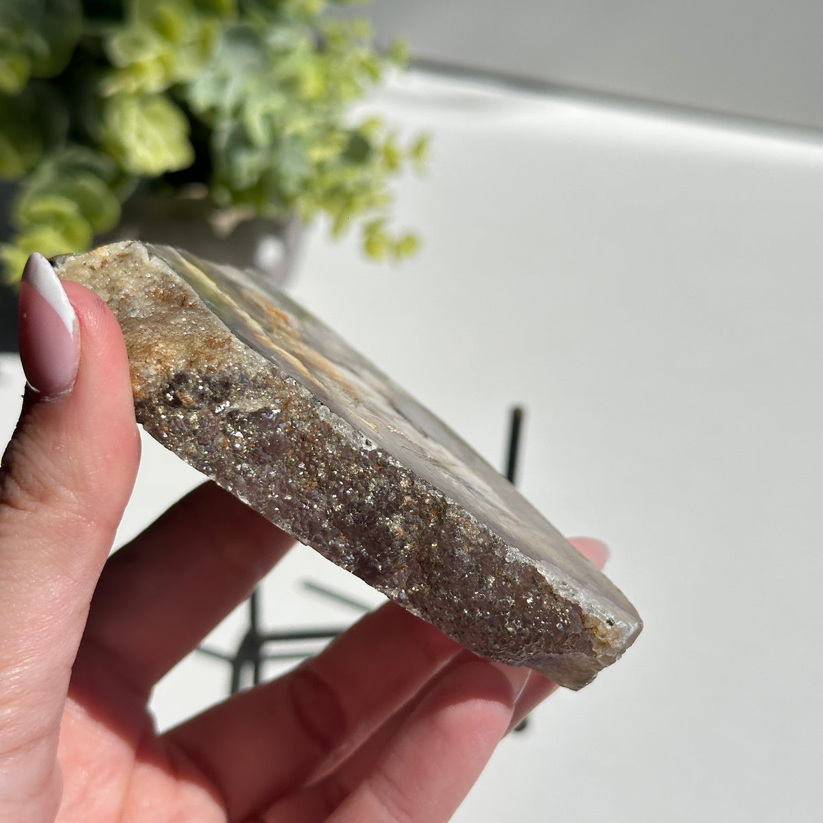 Fluorite With Pyrite Slice 224g