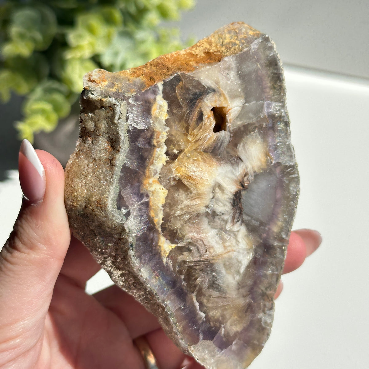Fluorite With Pyrite Slice 224g