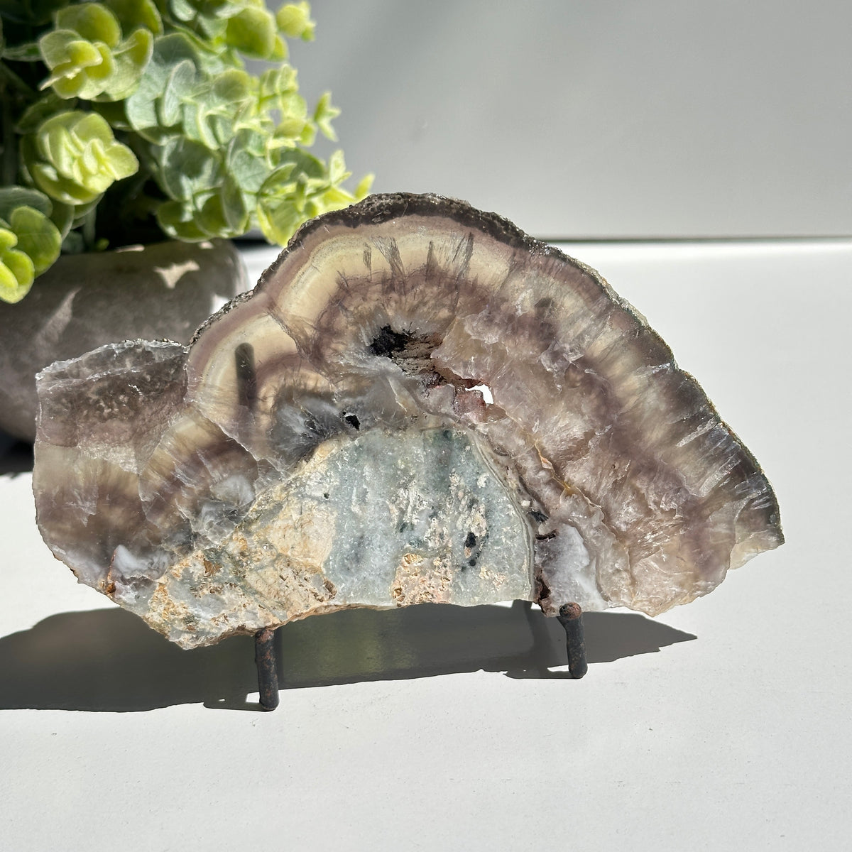 Fluorite With Pyrite Slice 308g