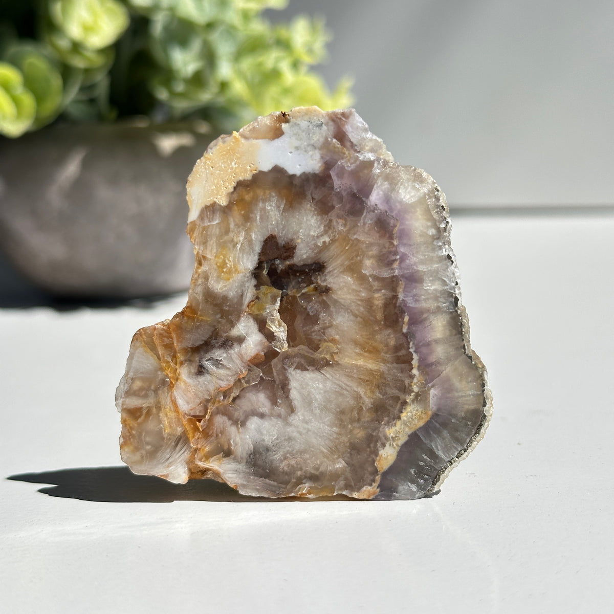 Fluorite With Pyrite Slice 78g