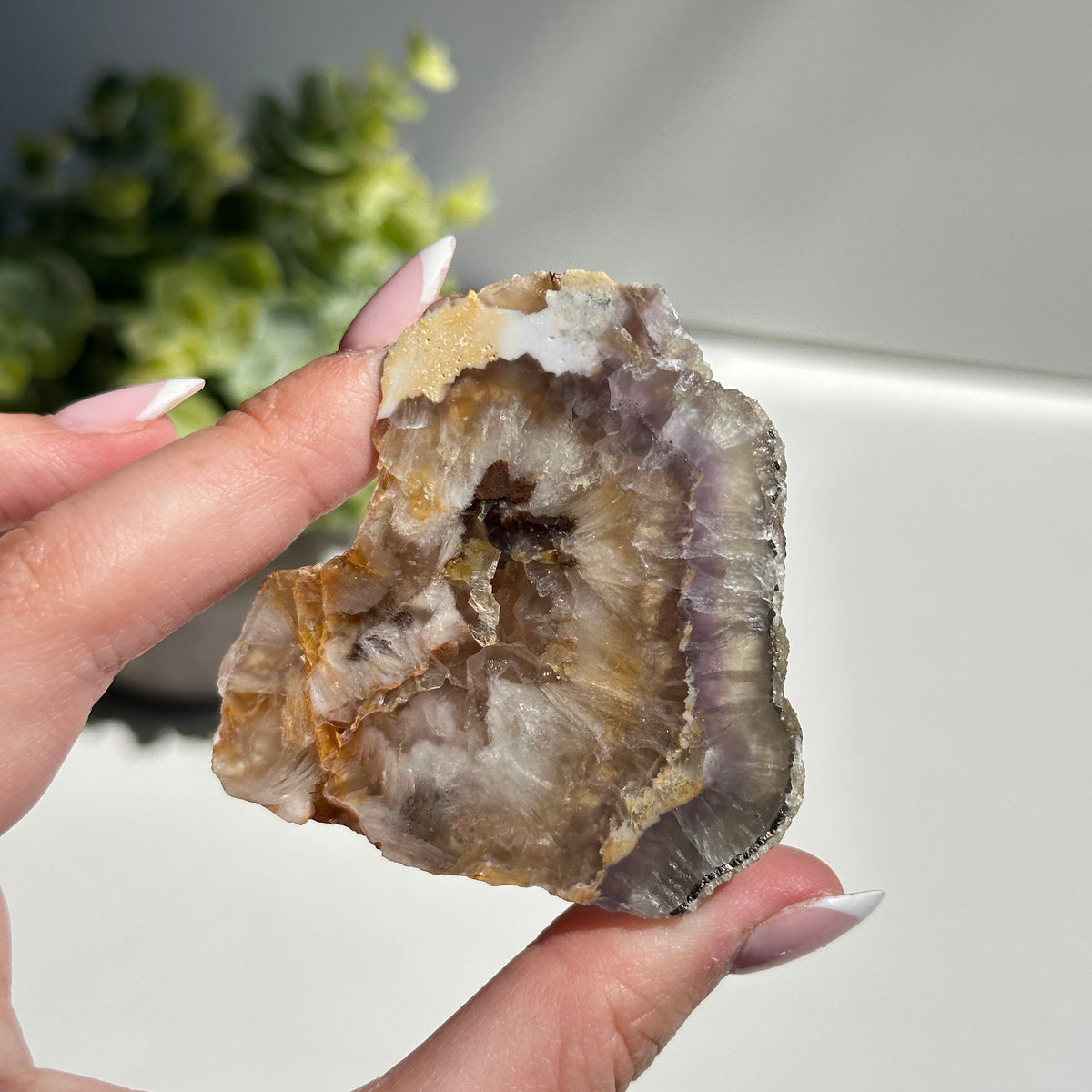 Fluorite With Pyrite Slice 78g