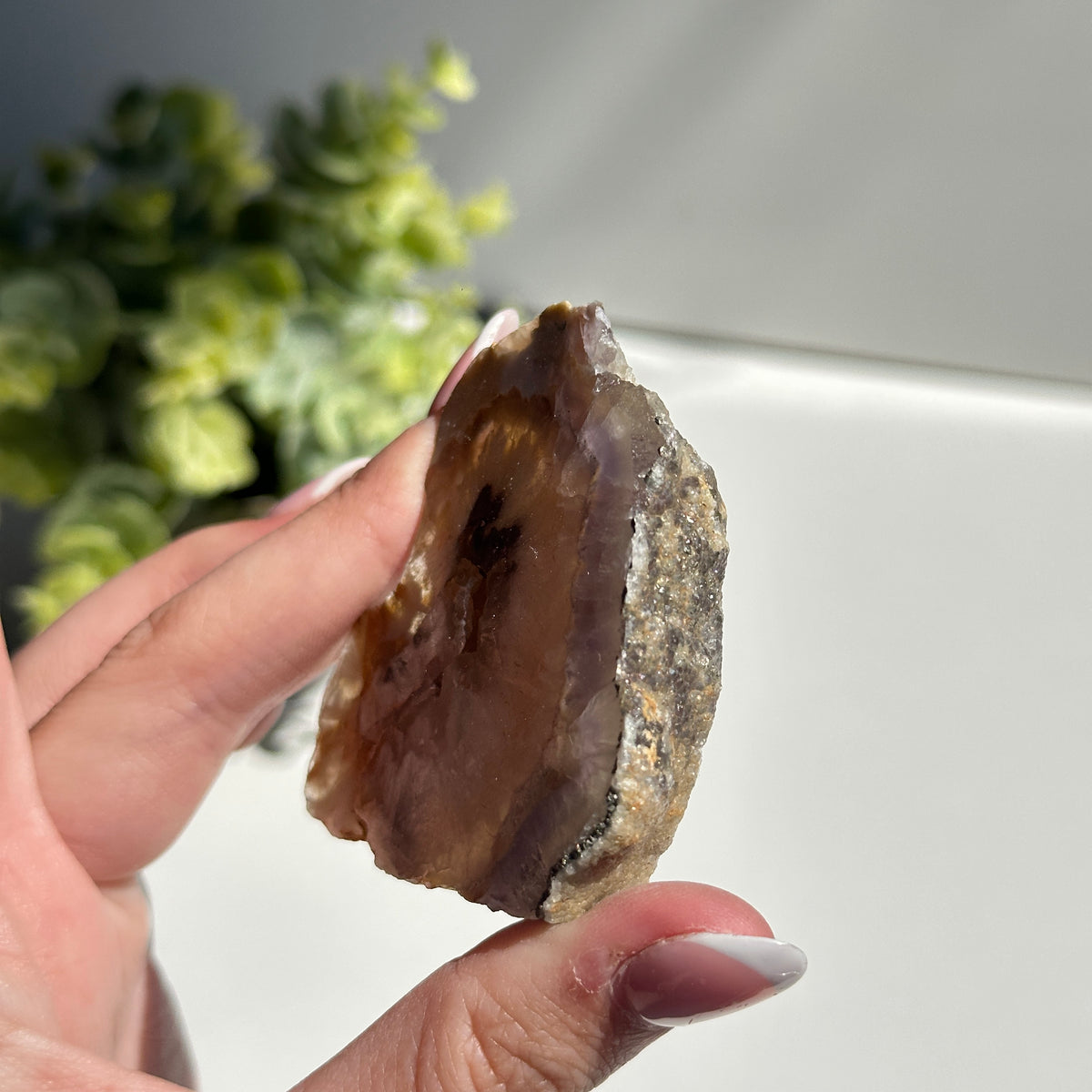 Fluorite With Pyrite Slice 78g