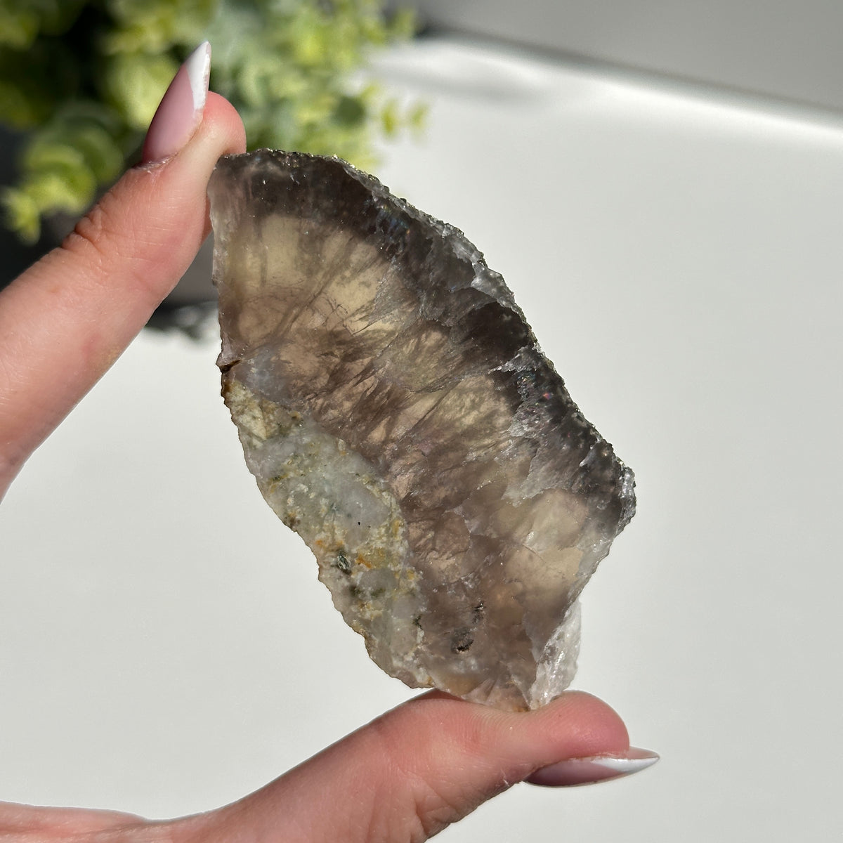 Fluorite With Pyrite Slice 78g