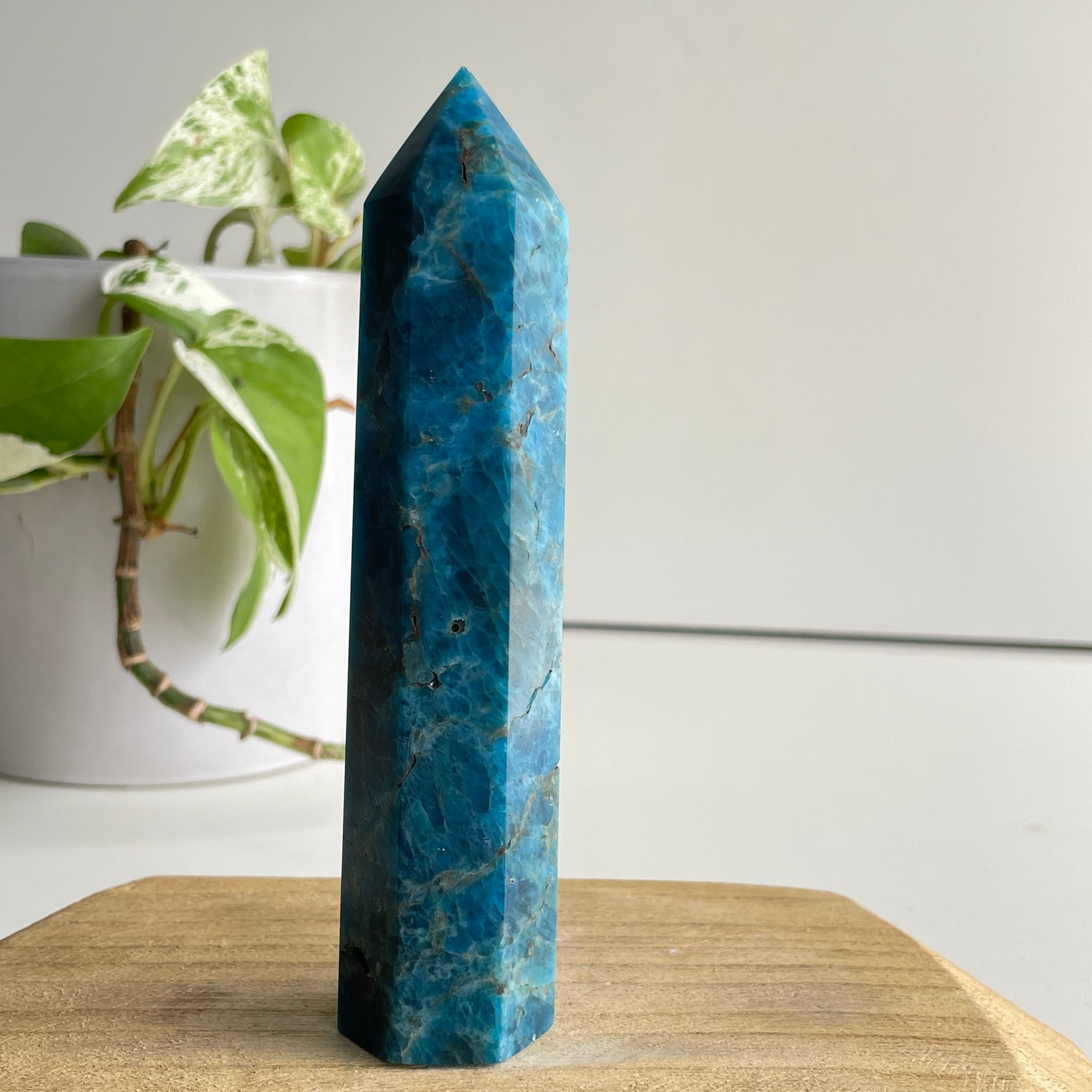 Blue Apatite Generator 13.7cm