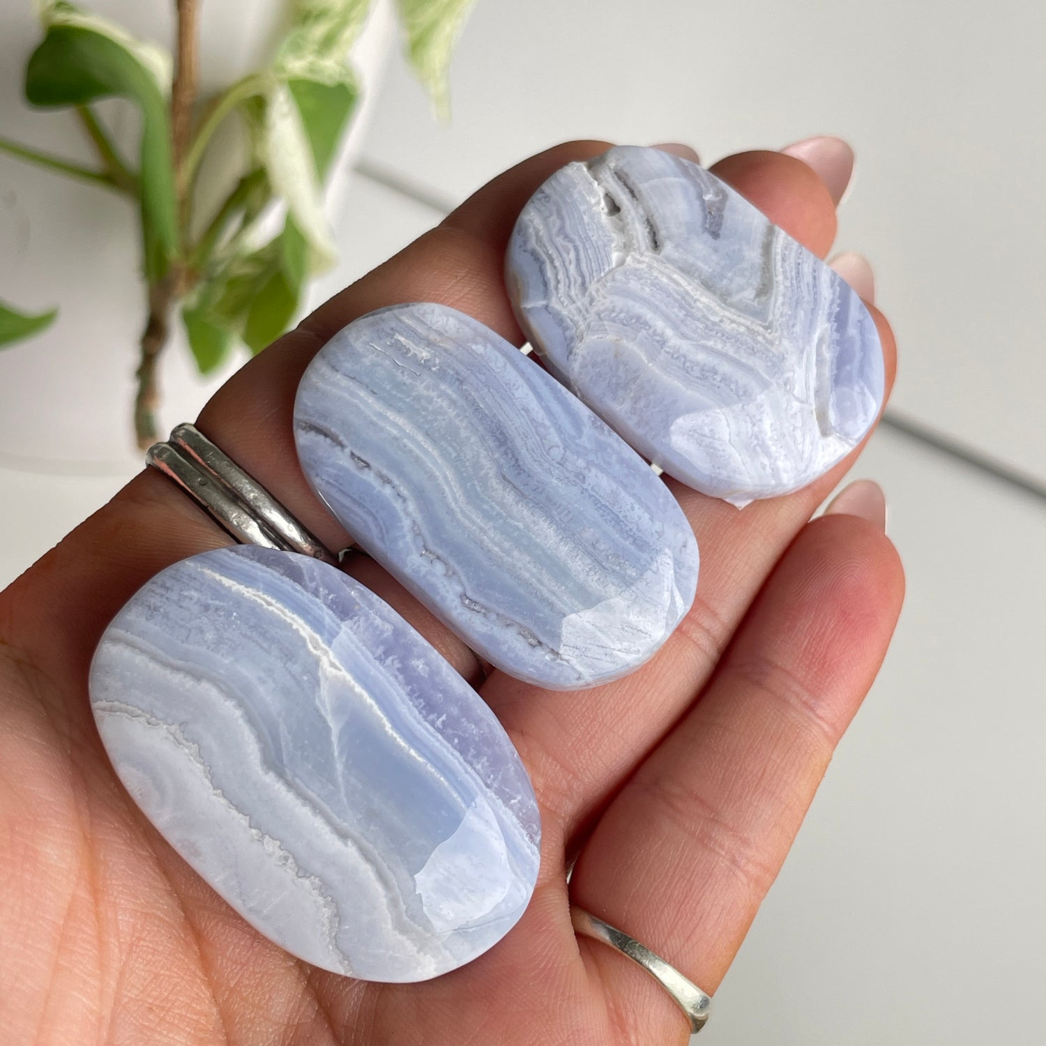 Blue Lace Agate Palmstone Mini