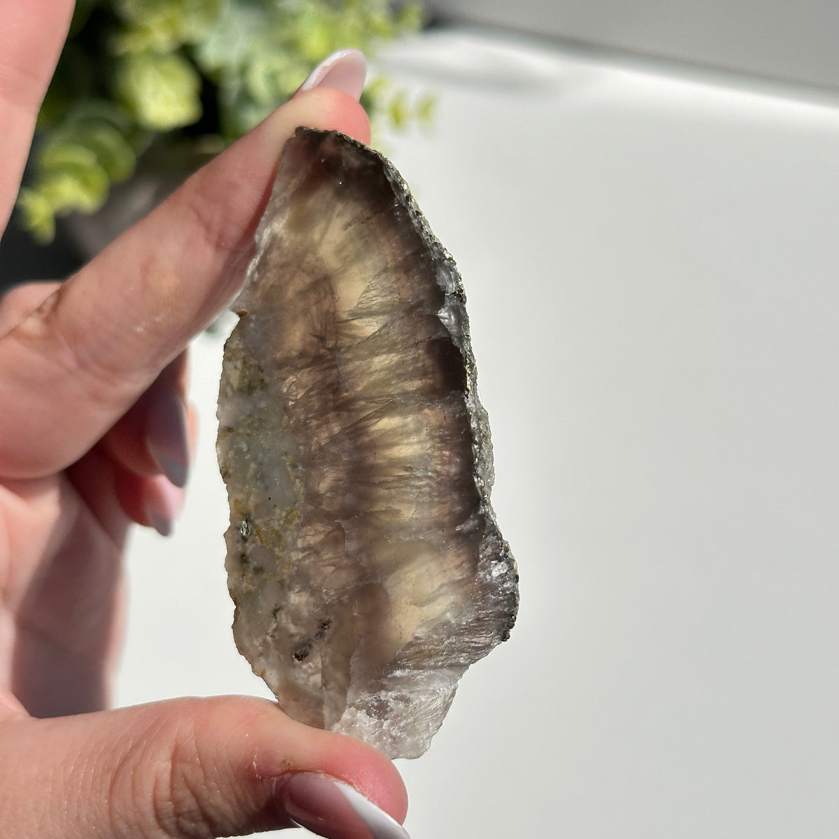 Fluorite With Pyrite Slice 78g