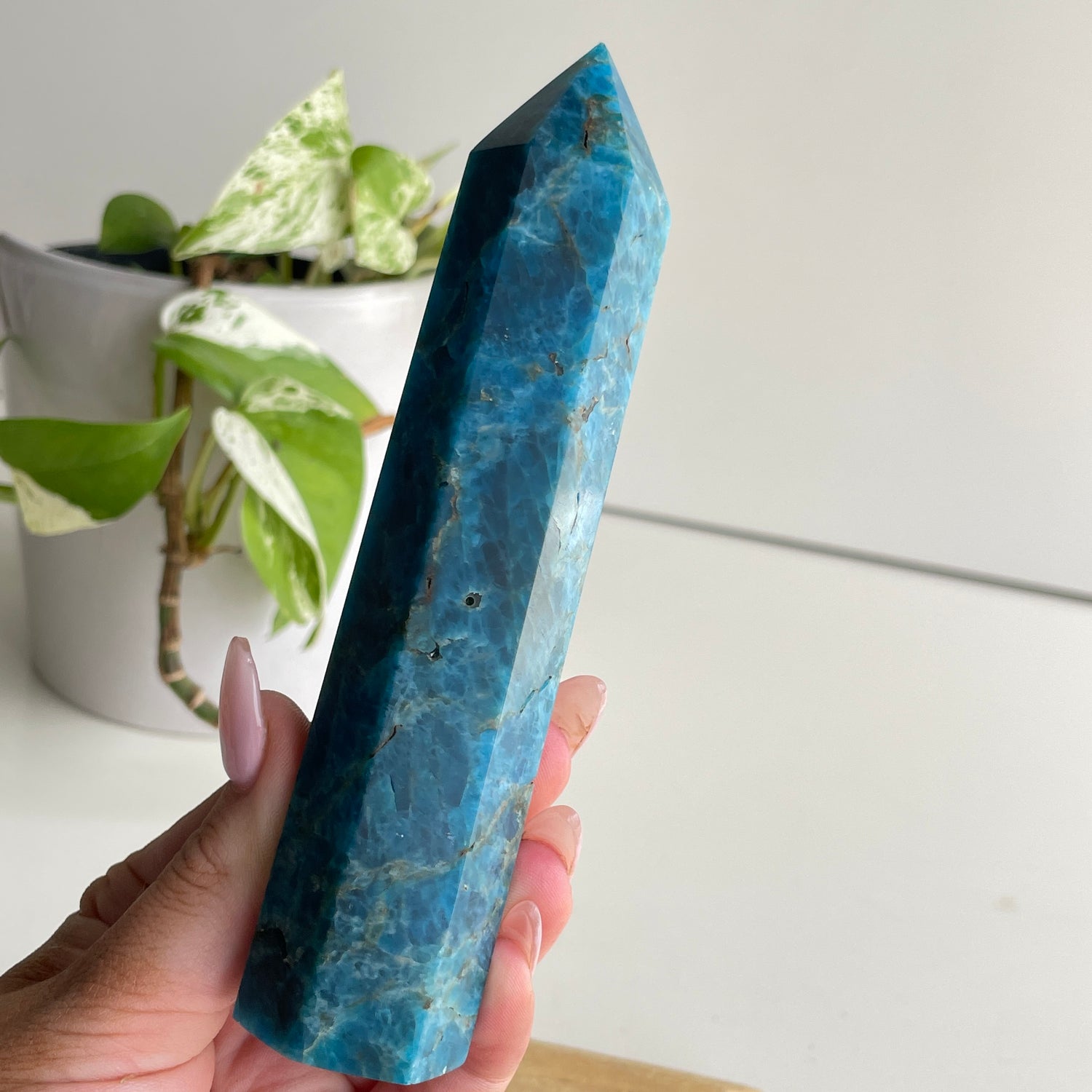 Blue Apatite Generator 13.7cm