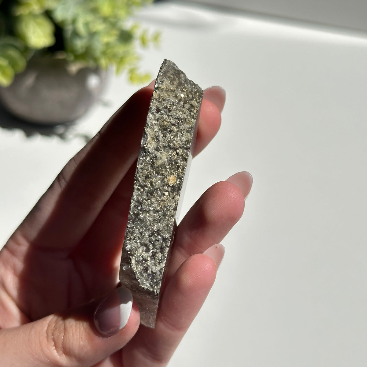 Fluorite With Pyrite Slice 78g
