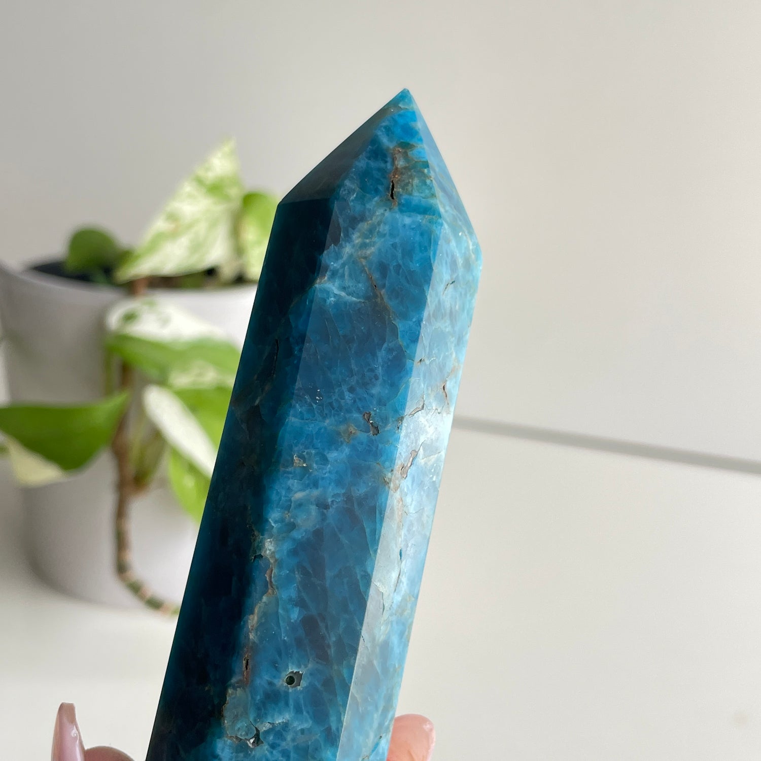 Blue Apatite Generator 13.7cm