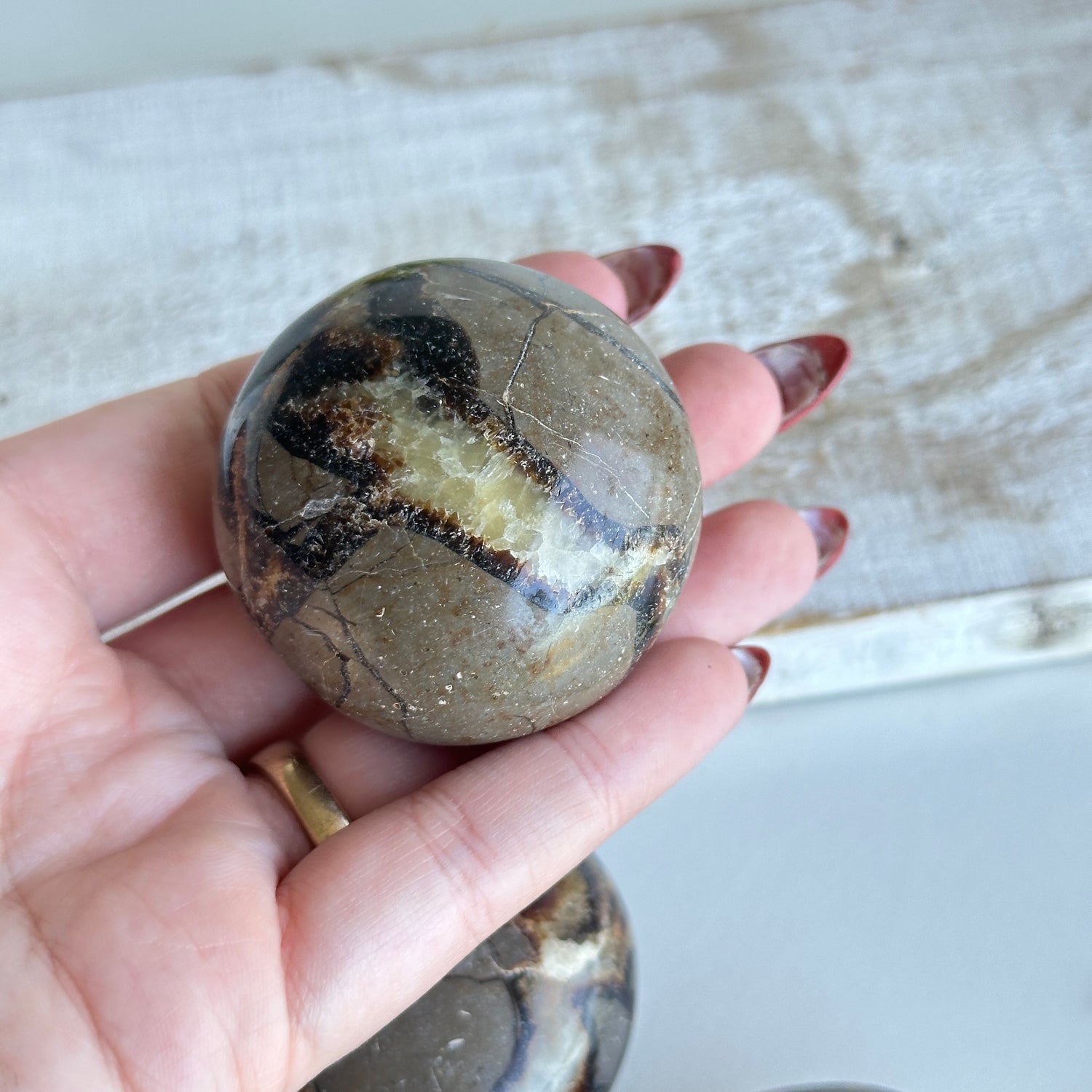 Septarian Palmstone Small