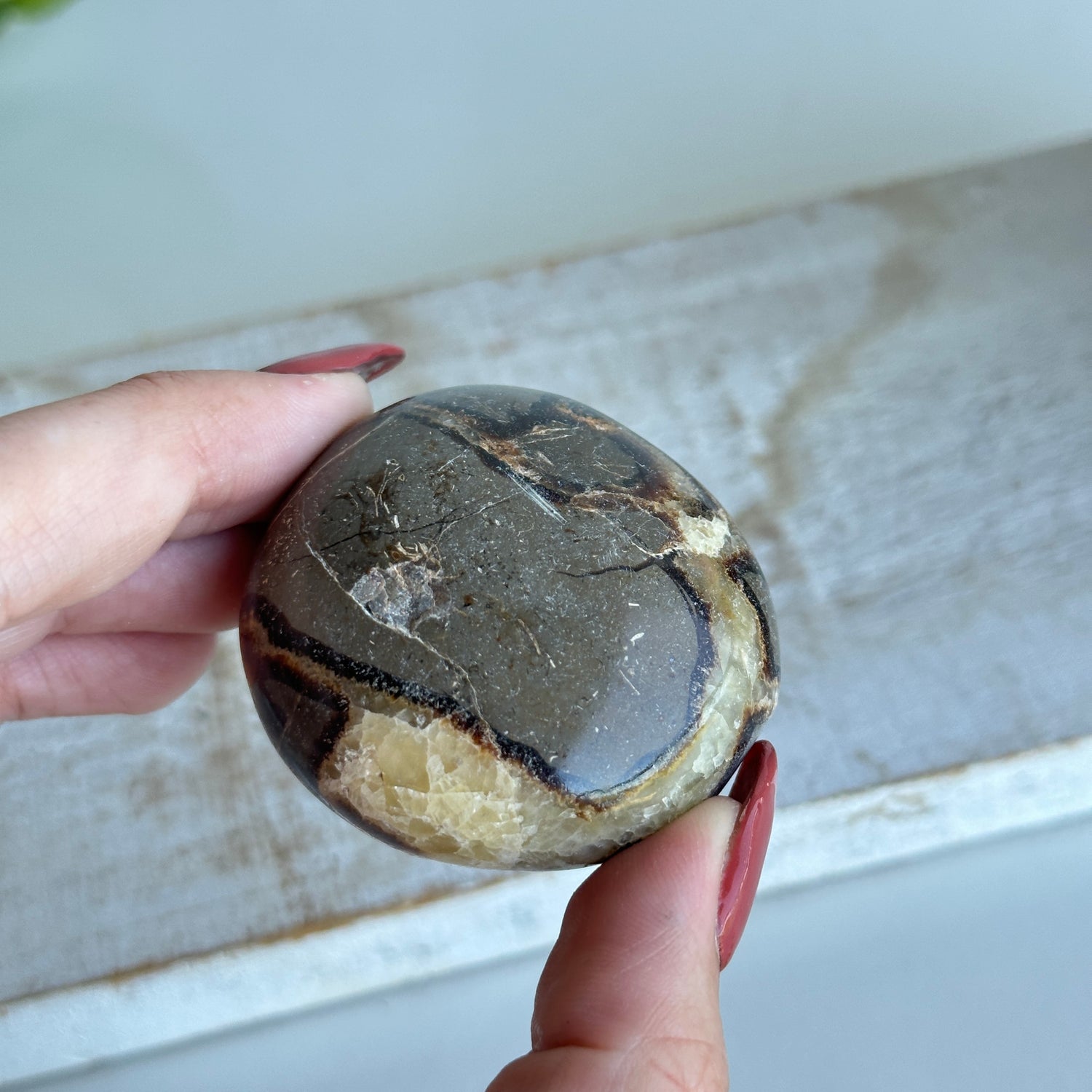 Septarian Palmstone Small