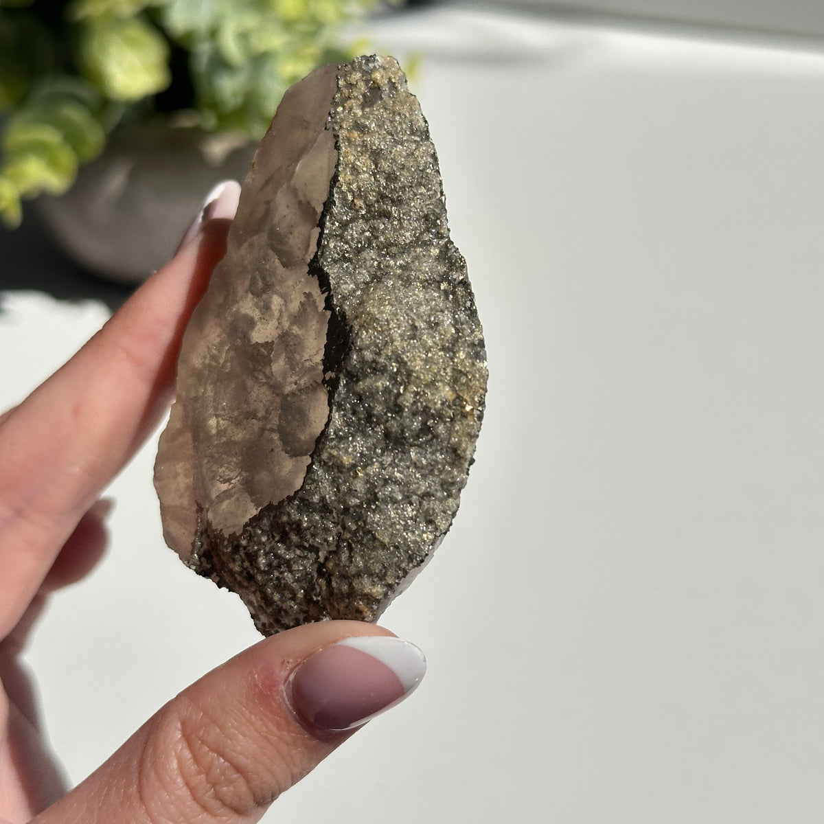 Fluorite With Pyrite Slice 92g