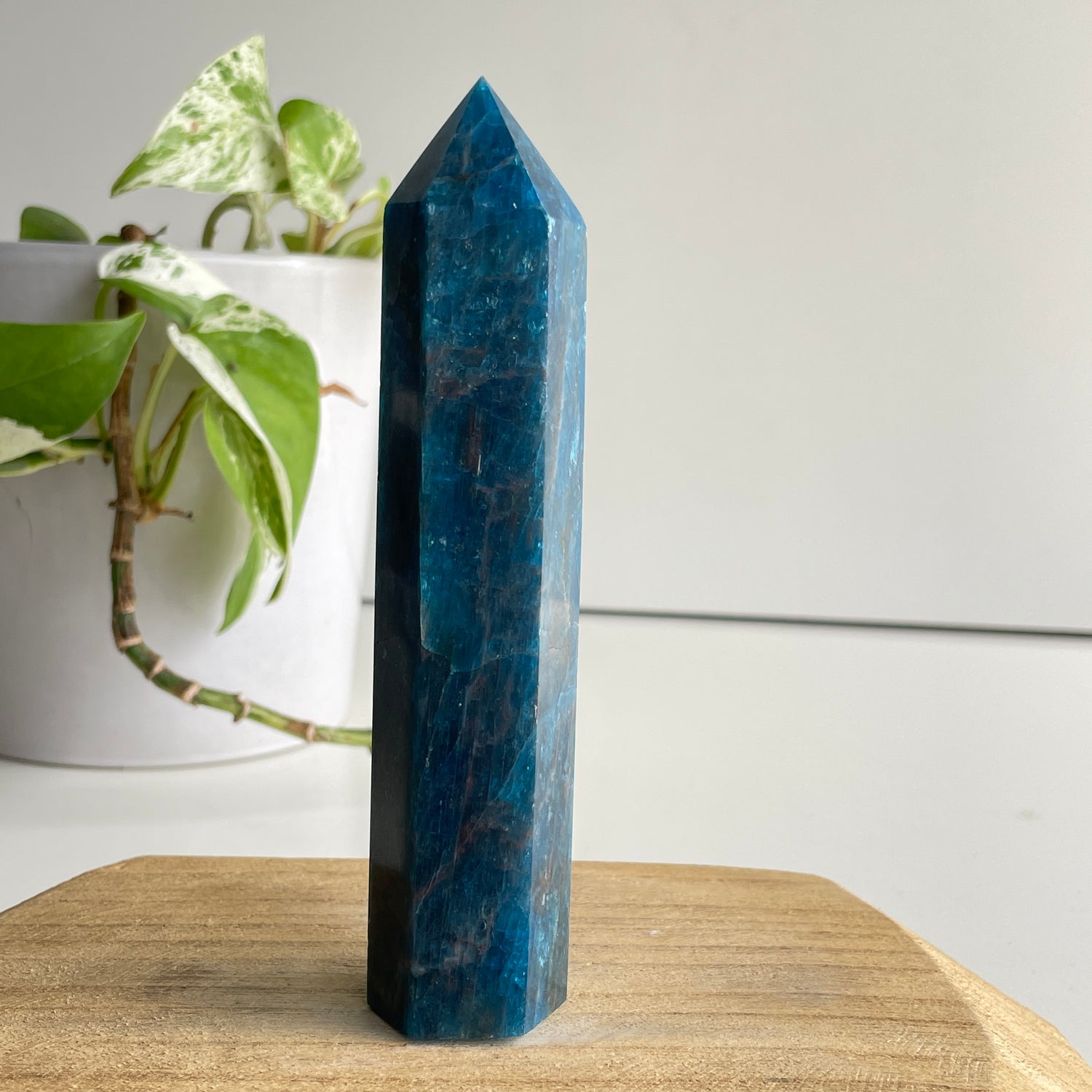 Blue Apatite Generator 13.5cm