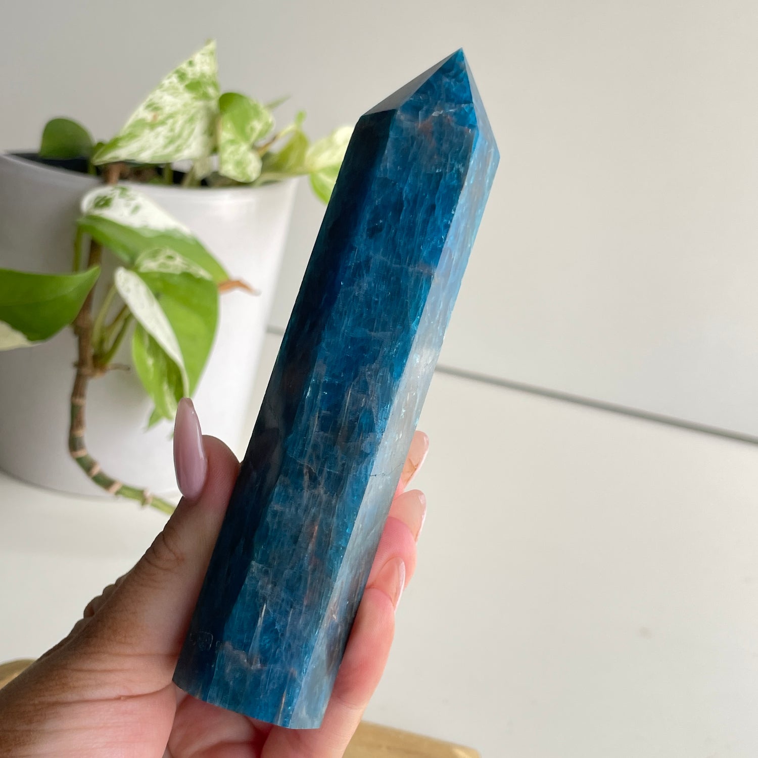 Blue Apatite Generator 13.5cm