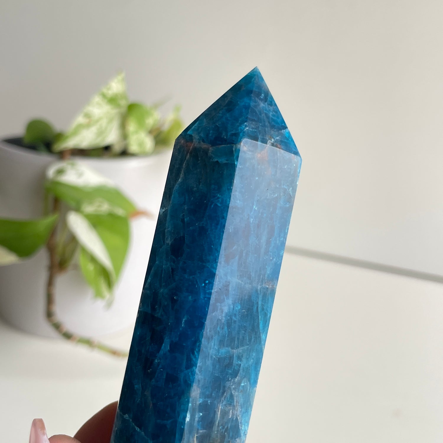 Blue Apatite Generator 13.5cm