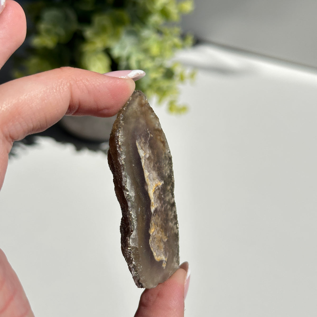 Fluorite With Pyrite Pce 50g