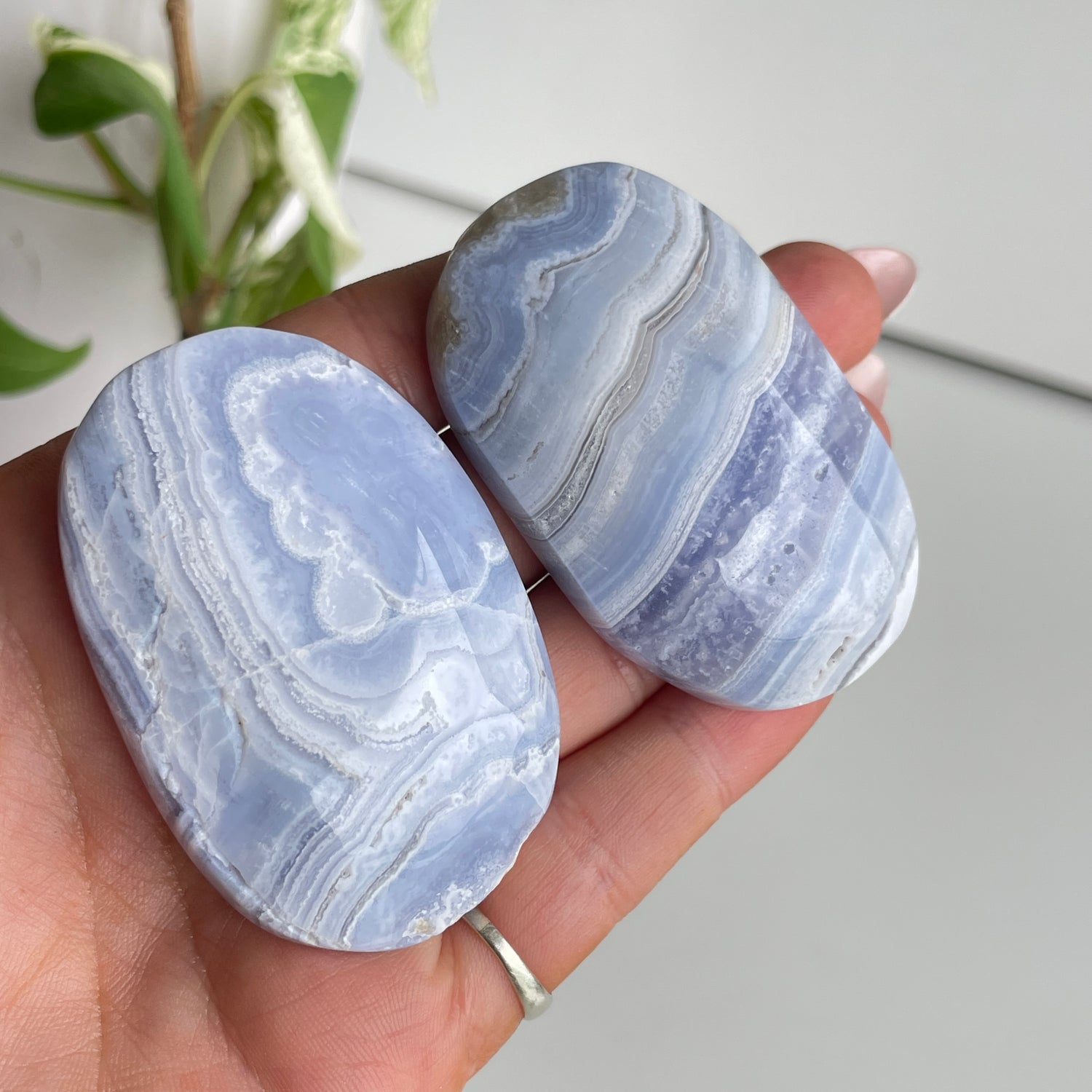 Blue Lace Agate Palmstone Med