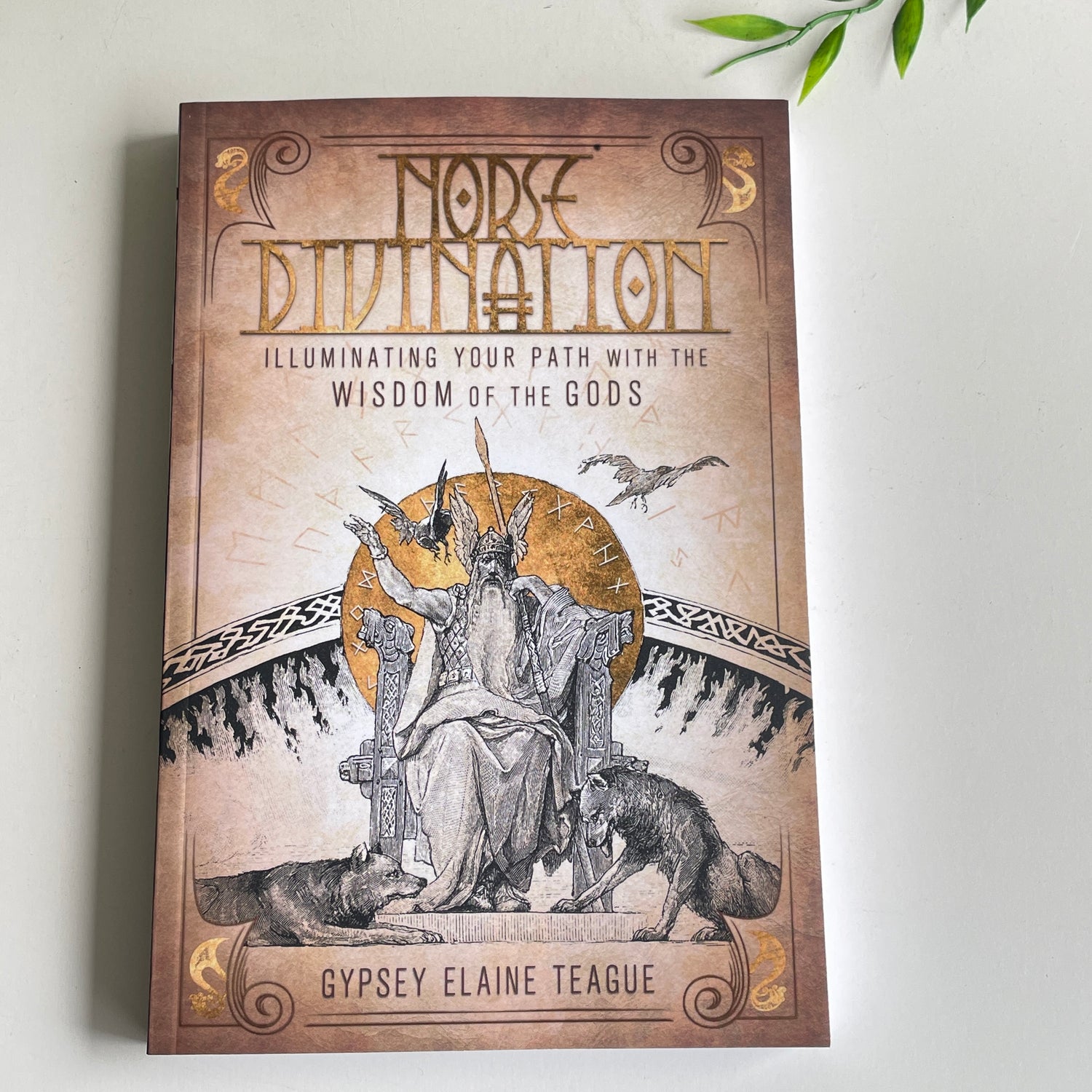 Norse Divination Gysey Elaine Teague