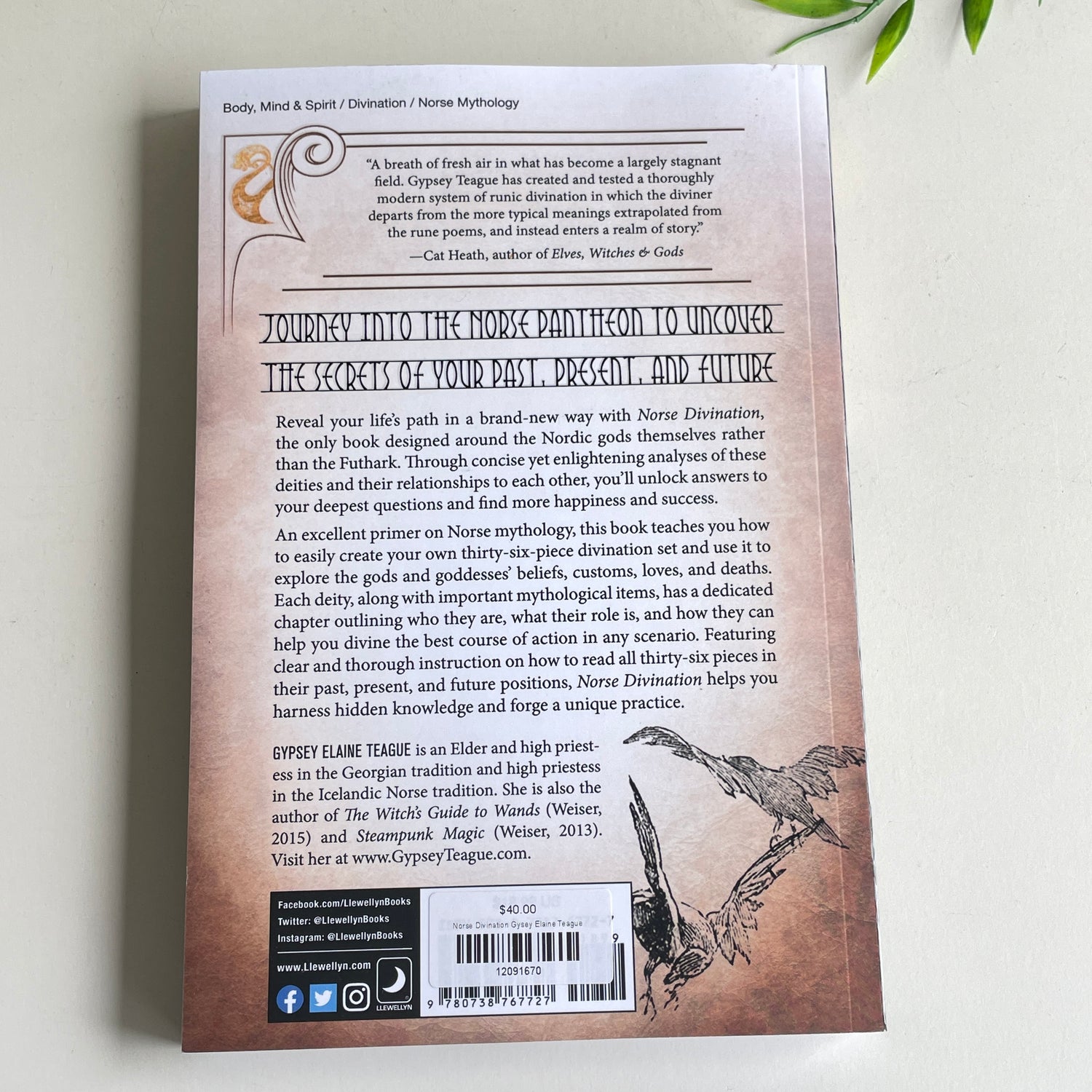 Norse Divination Gysey Elaine Teague