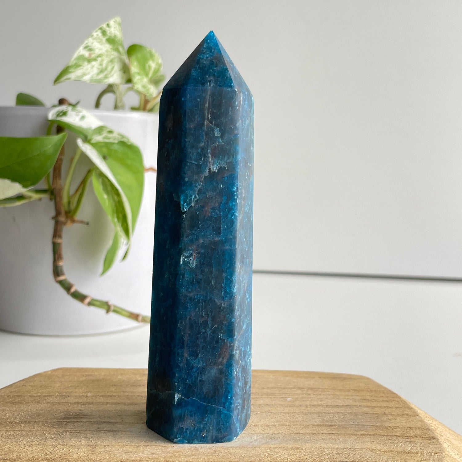 Blue Apatite Generator 12.8cm