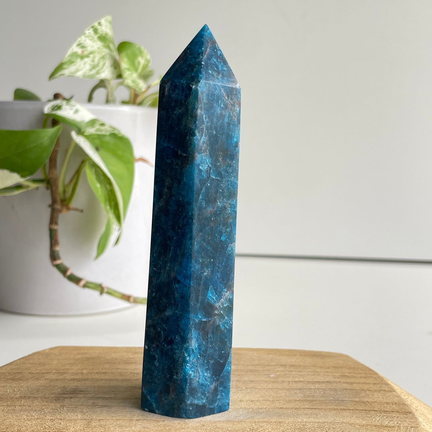 Blue Apatite Generator 12.8cm