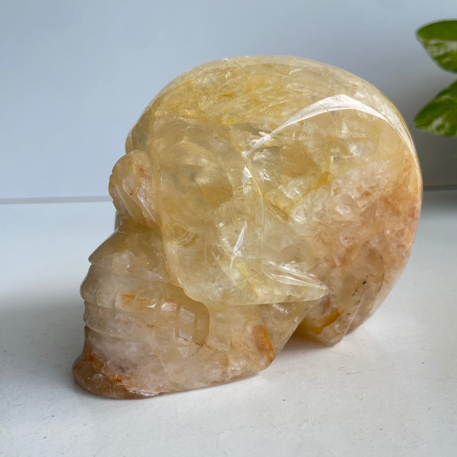 Golden Healer Skull 1
