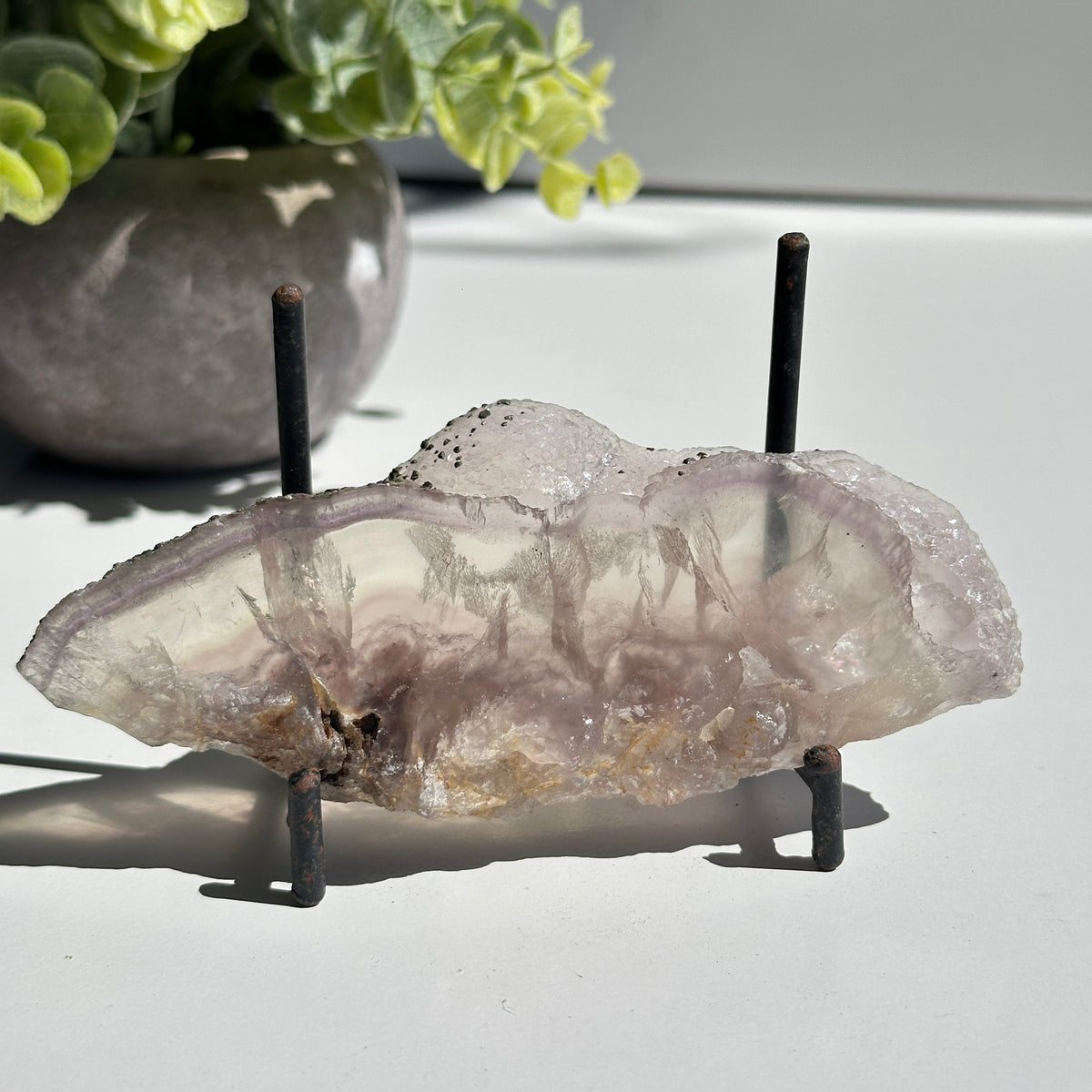 Fluorite With Pyrite Slice 138g