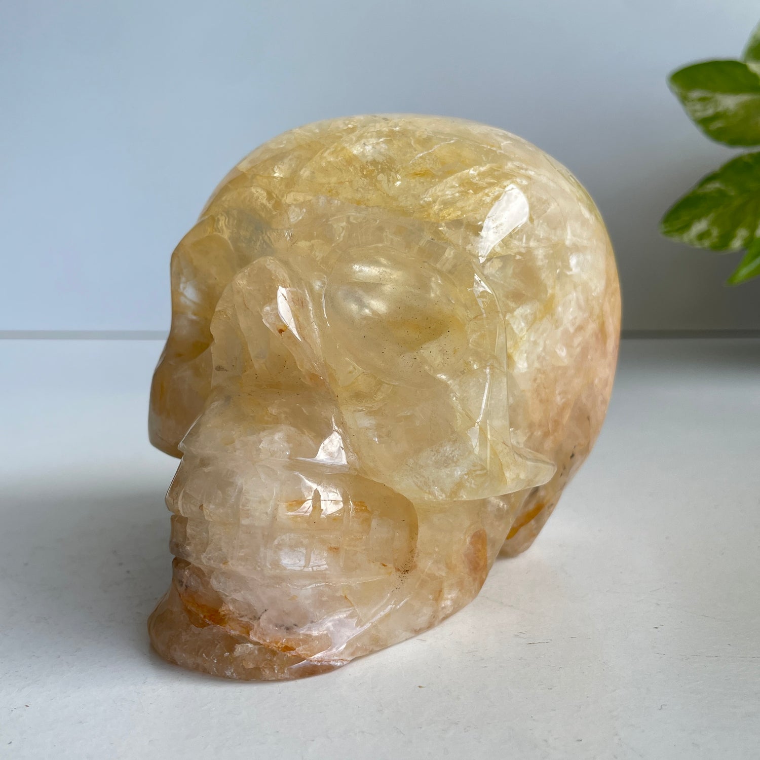 Golden Healer Skull 1