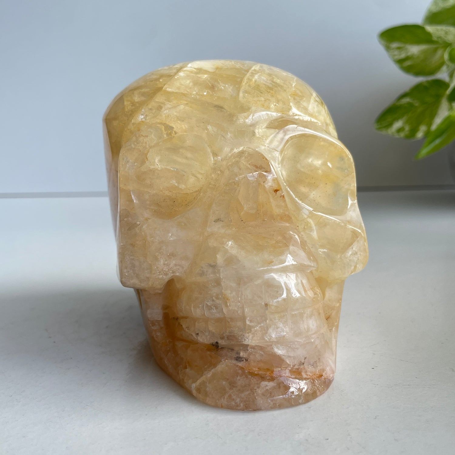 Golden Healer Skull 1